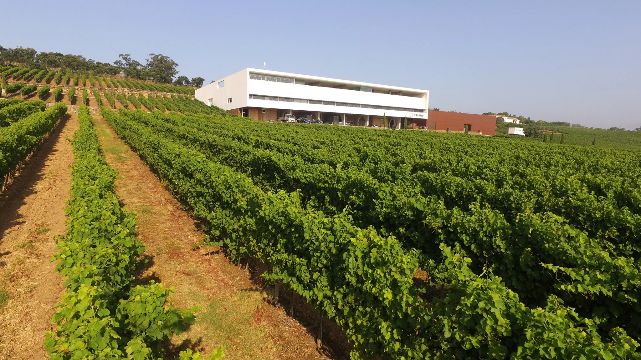 Adegamãe – Visita & Prova Bronze