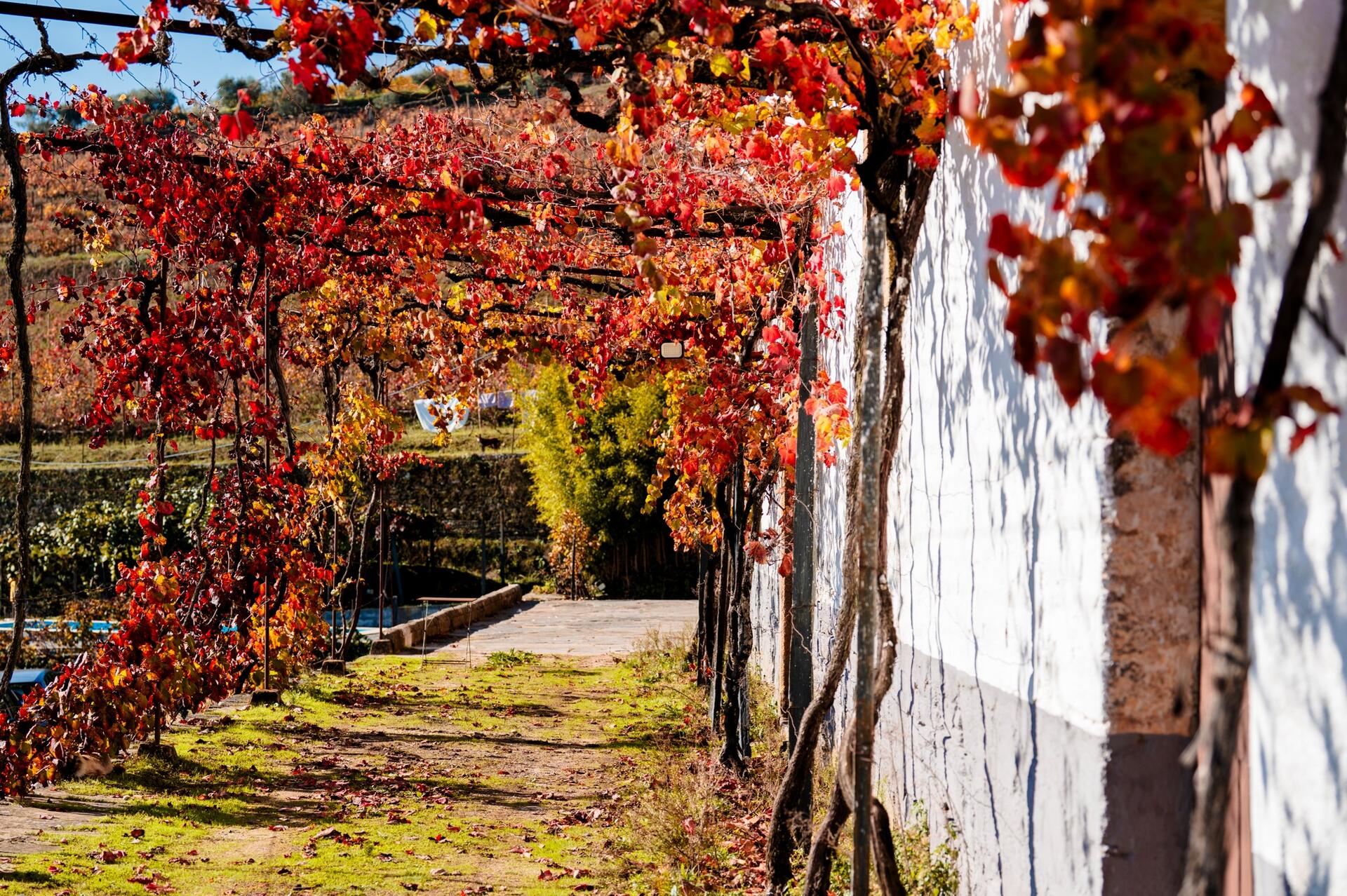 Quinta de Sobre a Fonte – Sabores da Quinta