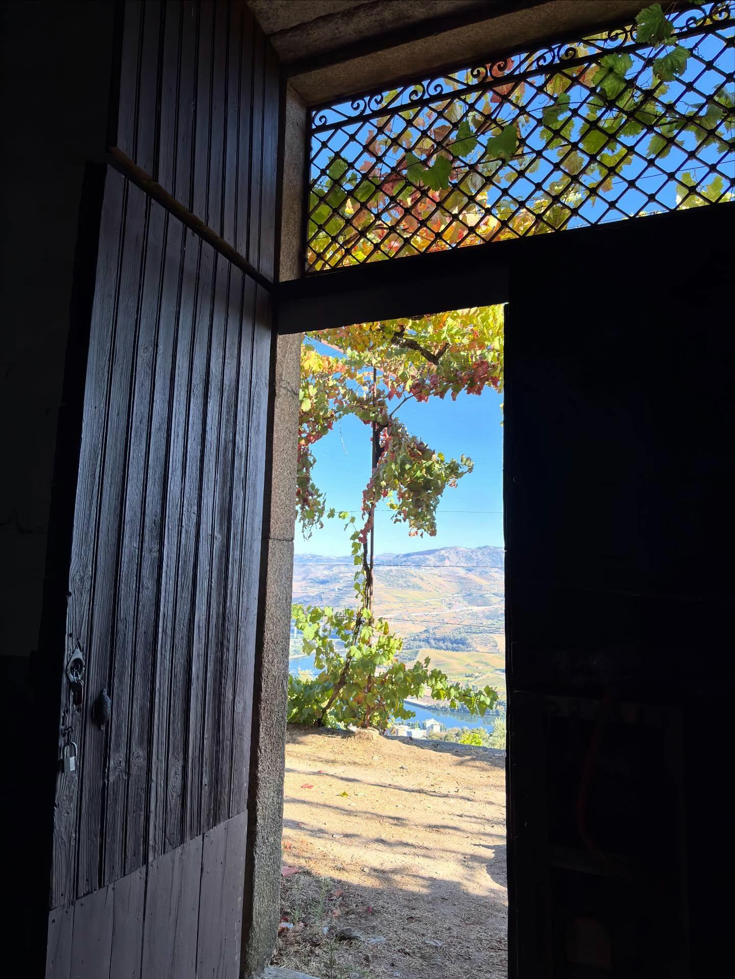 Quinta de Sobre a Fonte – Caminhada & Piquenique