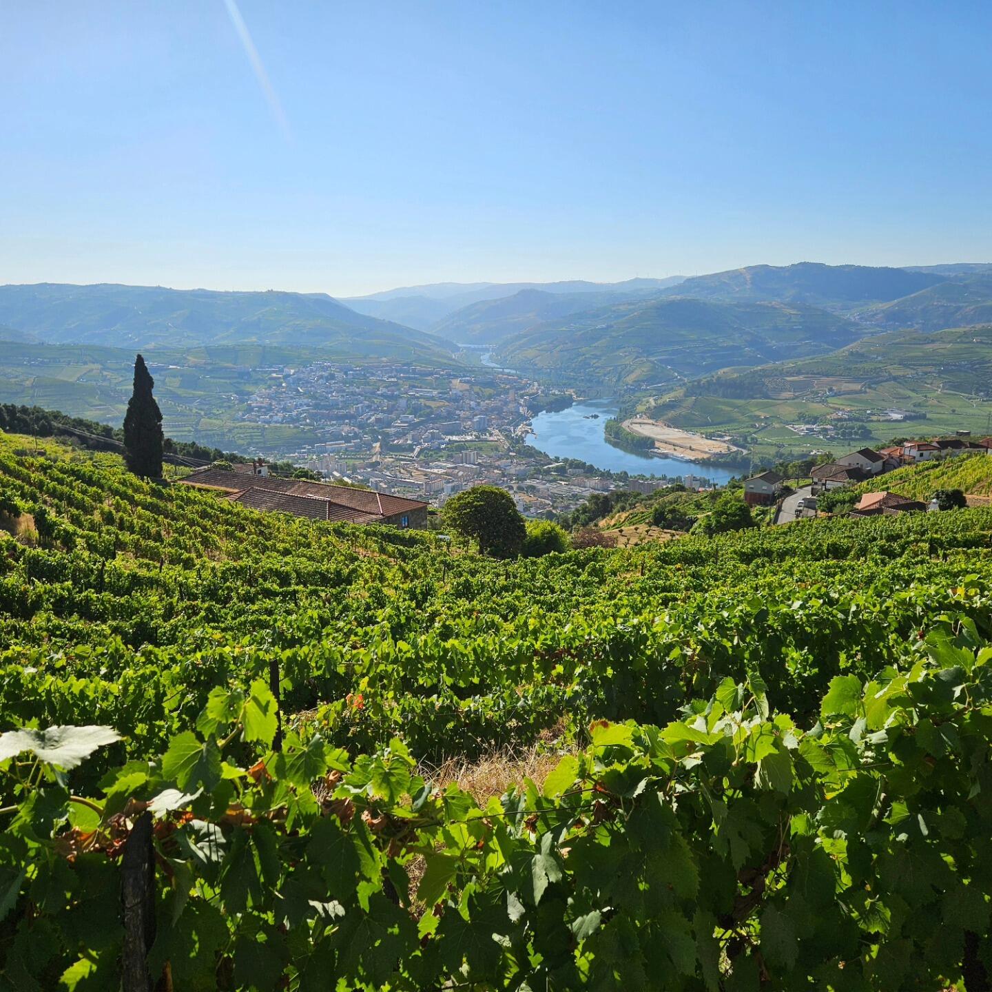 Quinta de Sobre a Fonte – Caminhada & Piquenique