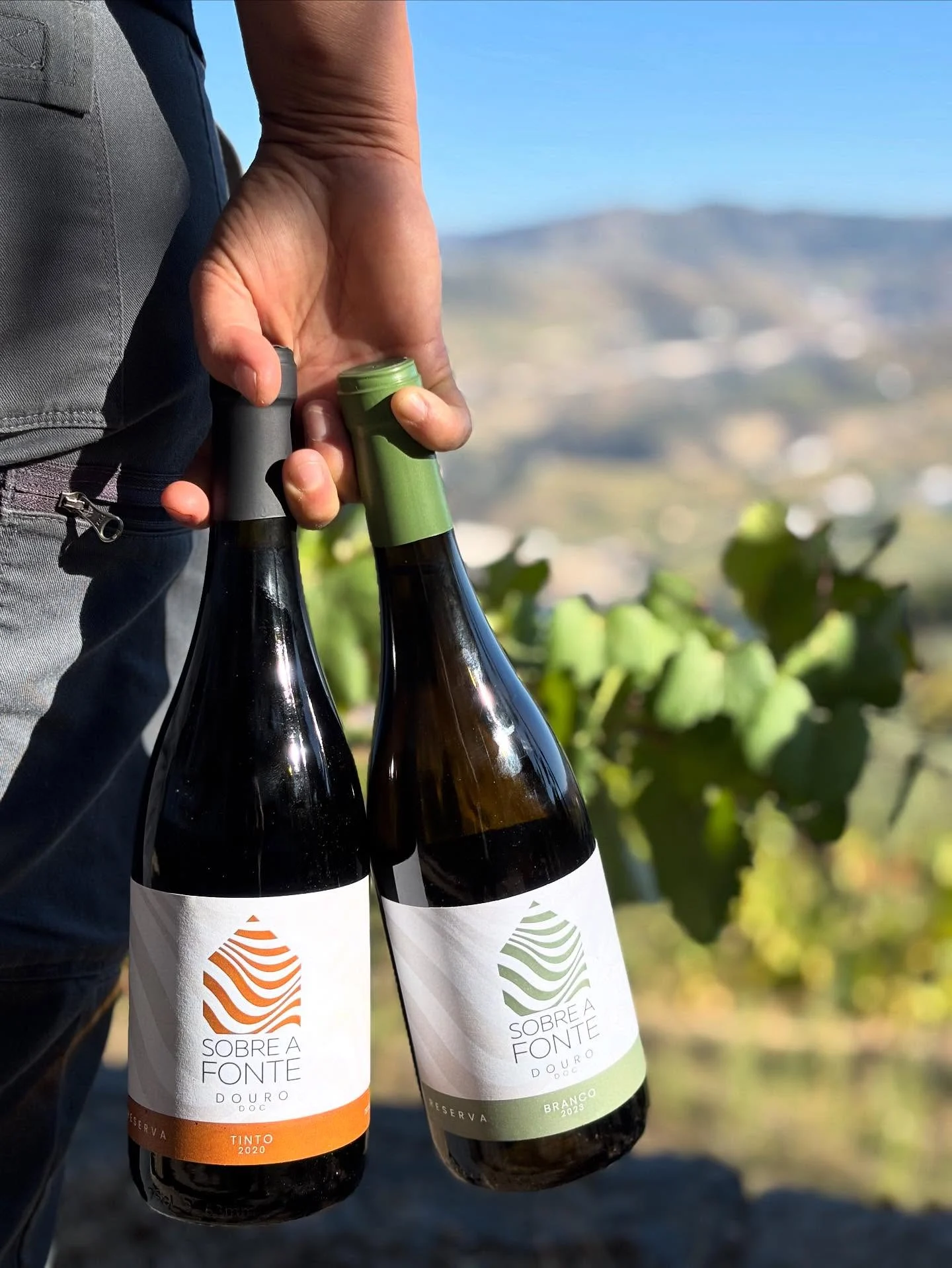 Quinta de Sobre a Fonte – Caminhada & Piquenique