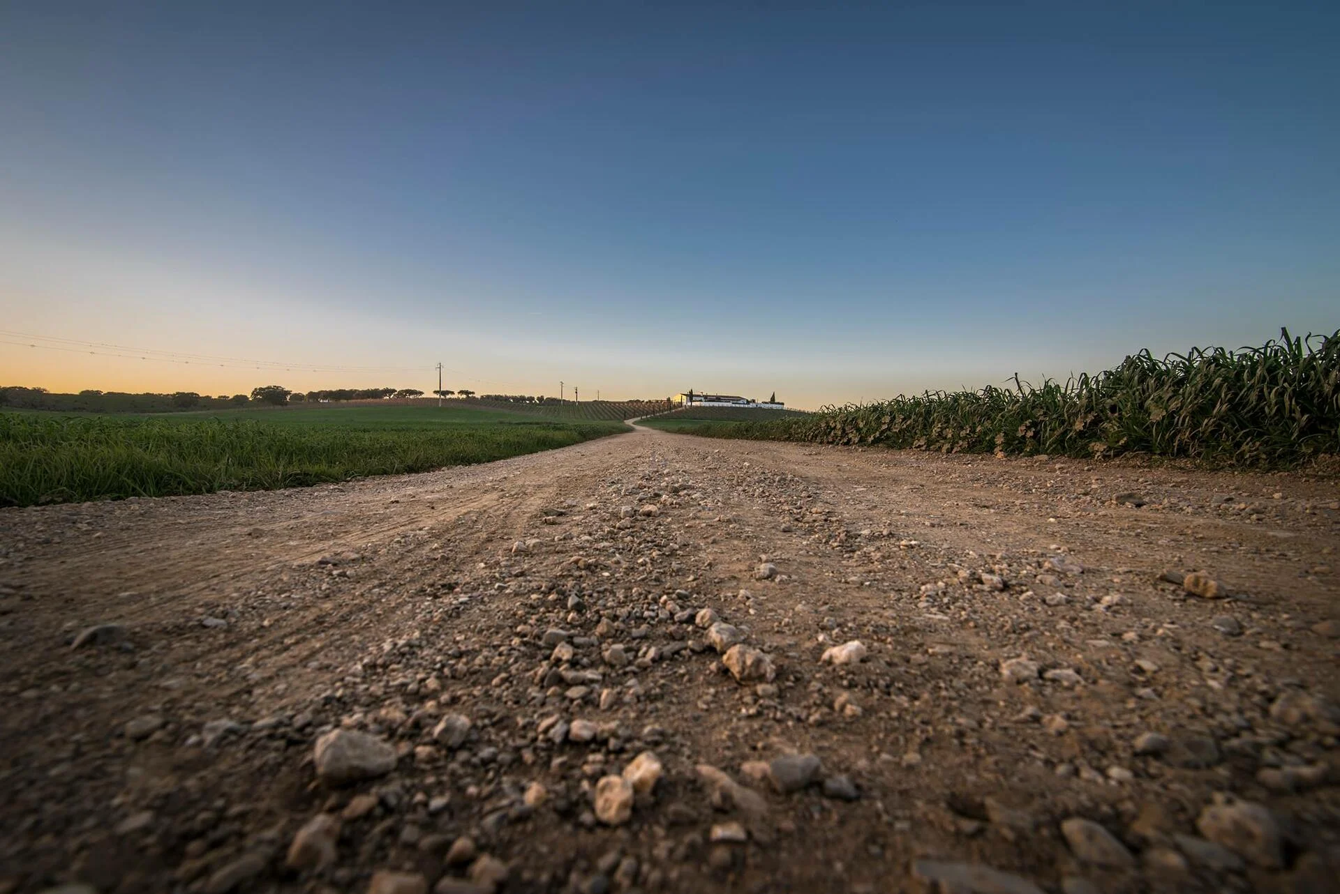 Herdade da Malhadinha Nova – Prova 4 Vinhos