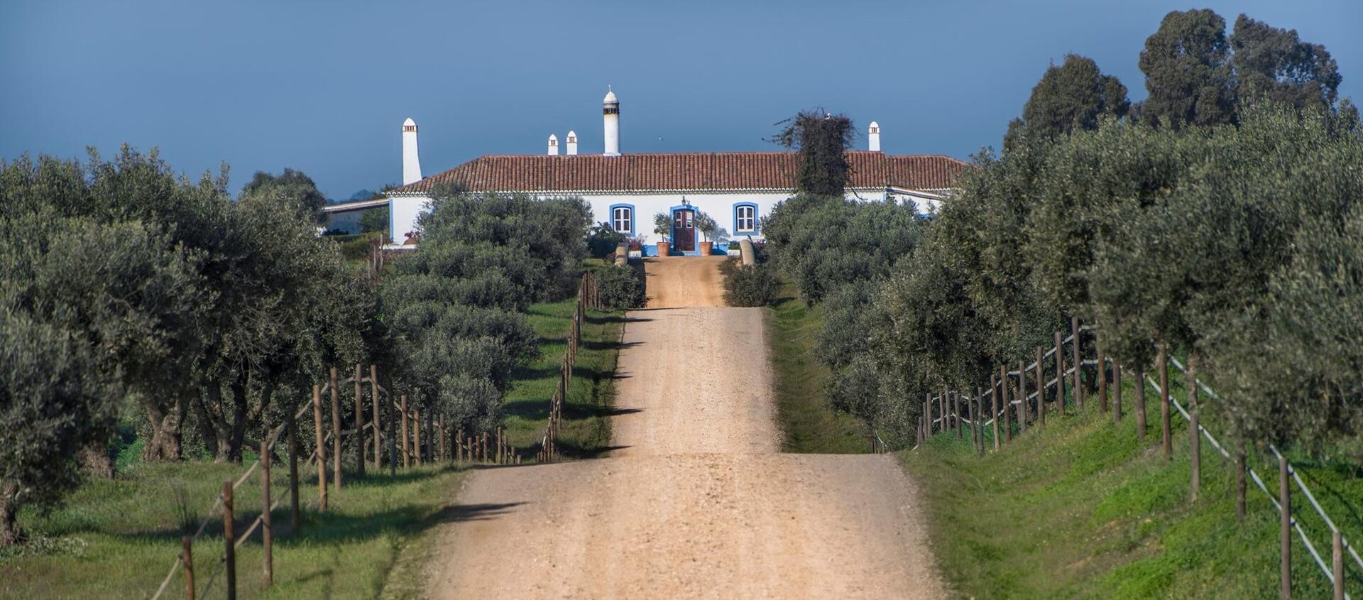 Herdade da Malhadinha Nova – Prova 4 Vinhos