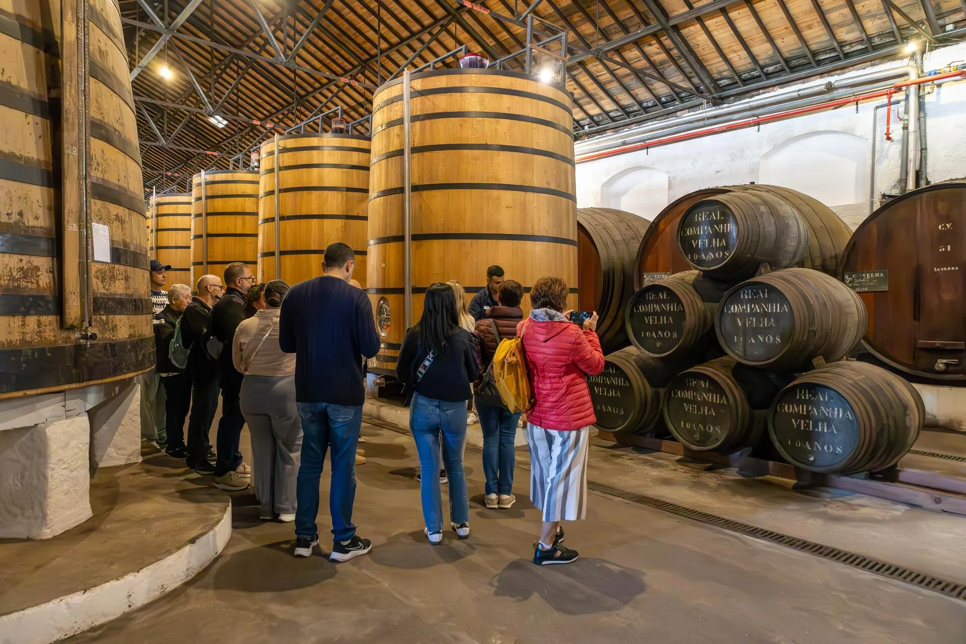 Porto City Tour – Meio Dia