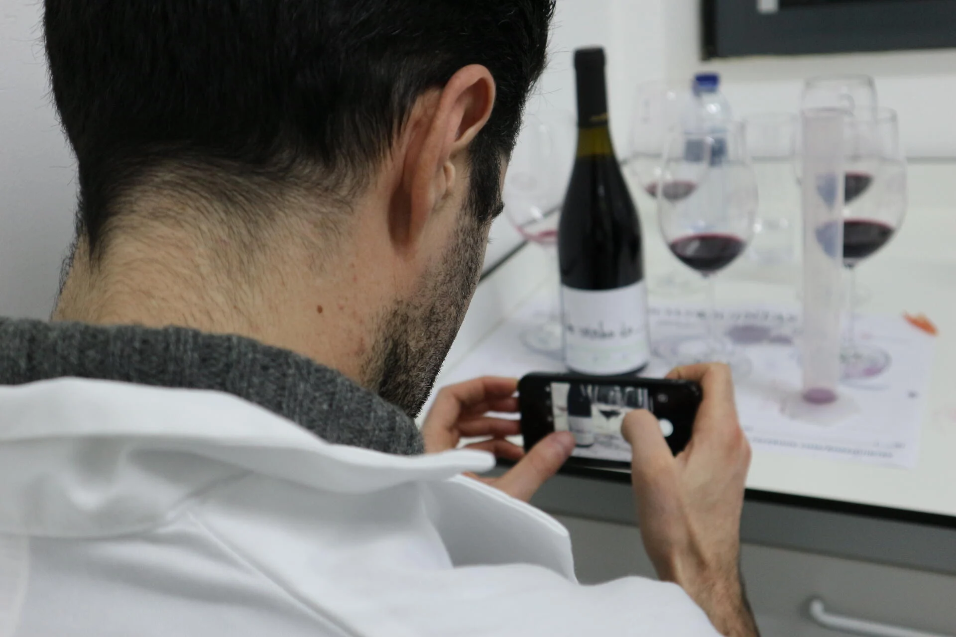 Boas Quintas – Quinta da Giesta