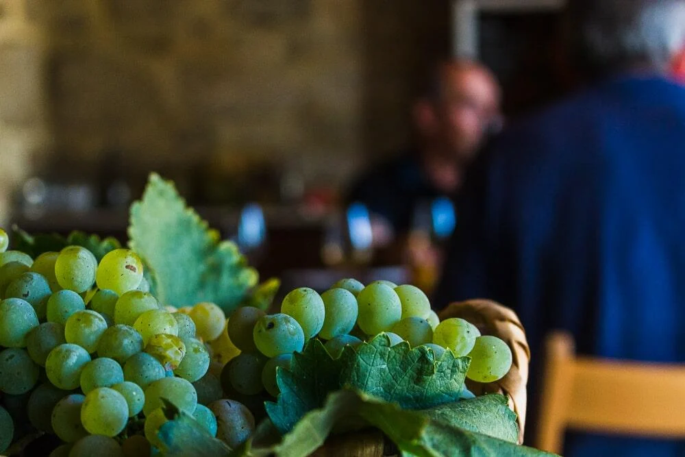 Casa Lata – Prova de Vinhos & Petiscos Regionais