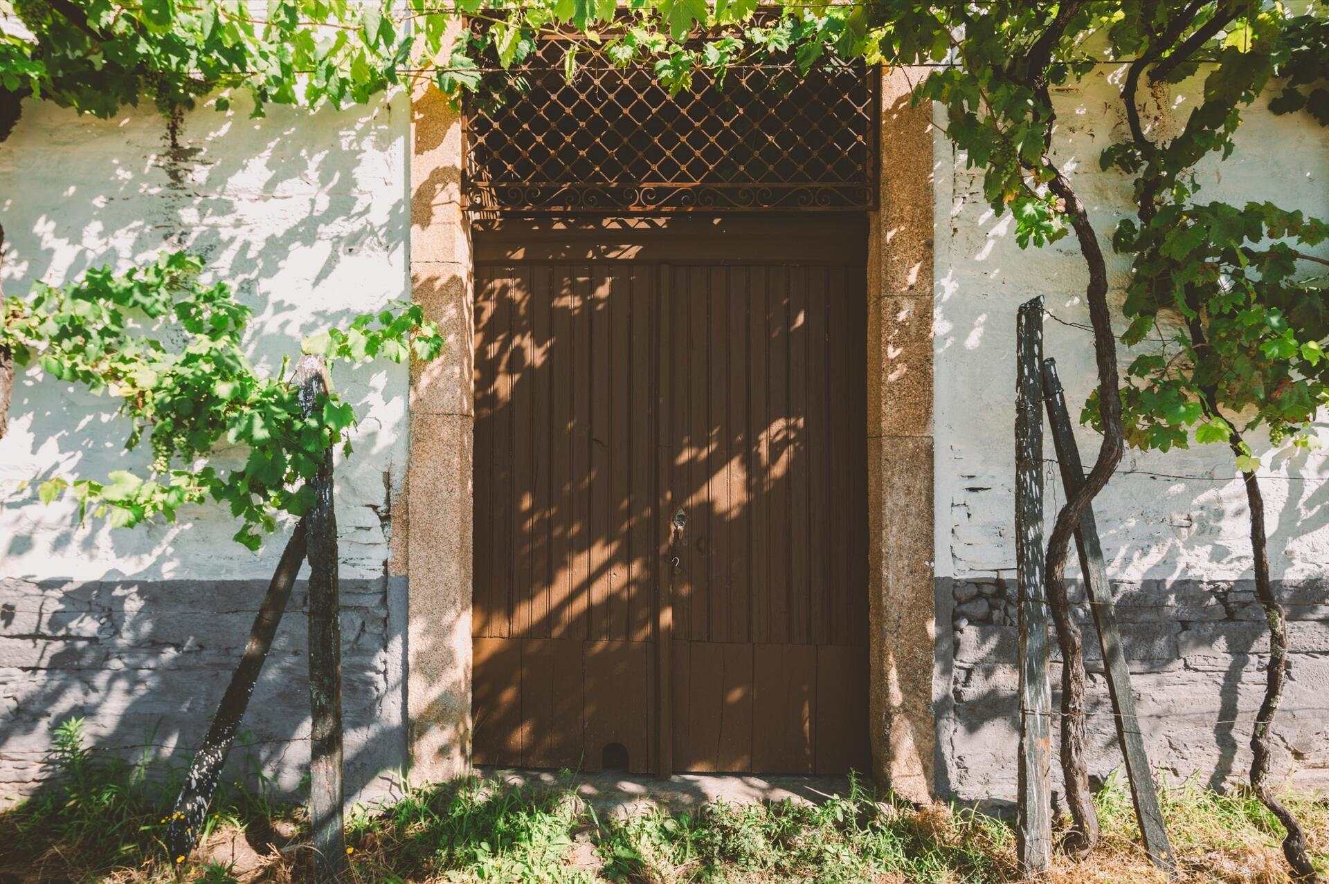 Quinta de Sobre a Fonte – Experiência de Vindimas