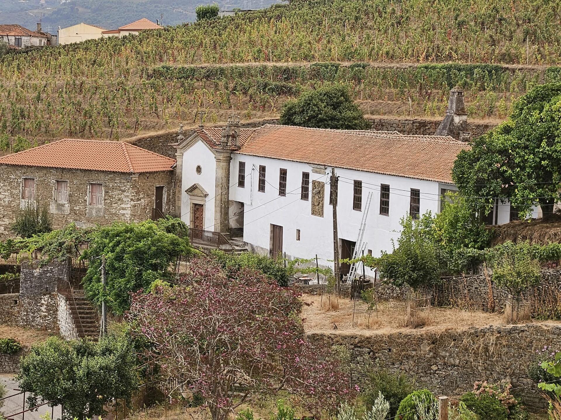 Quinta de Sobre a Fonte – Experiência de Vindimas