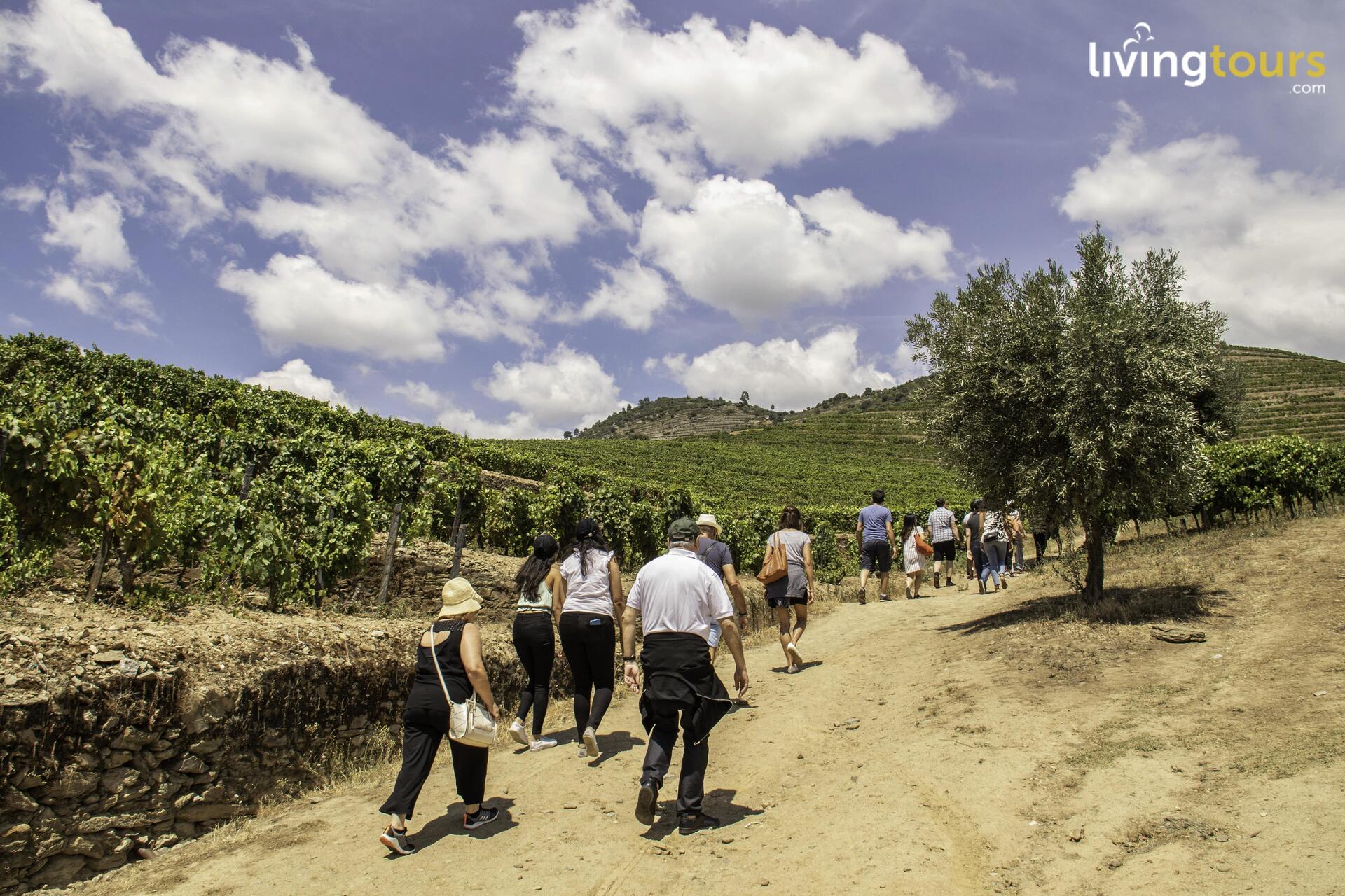 Wine Tour – Douro Valley
