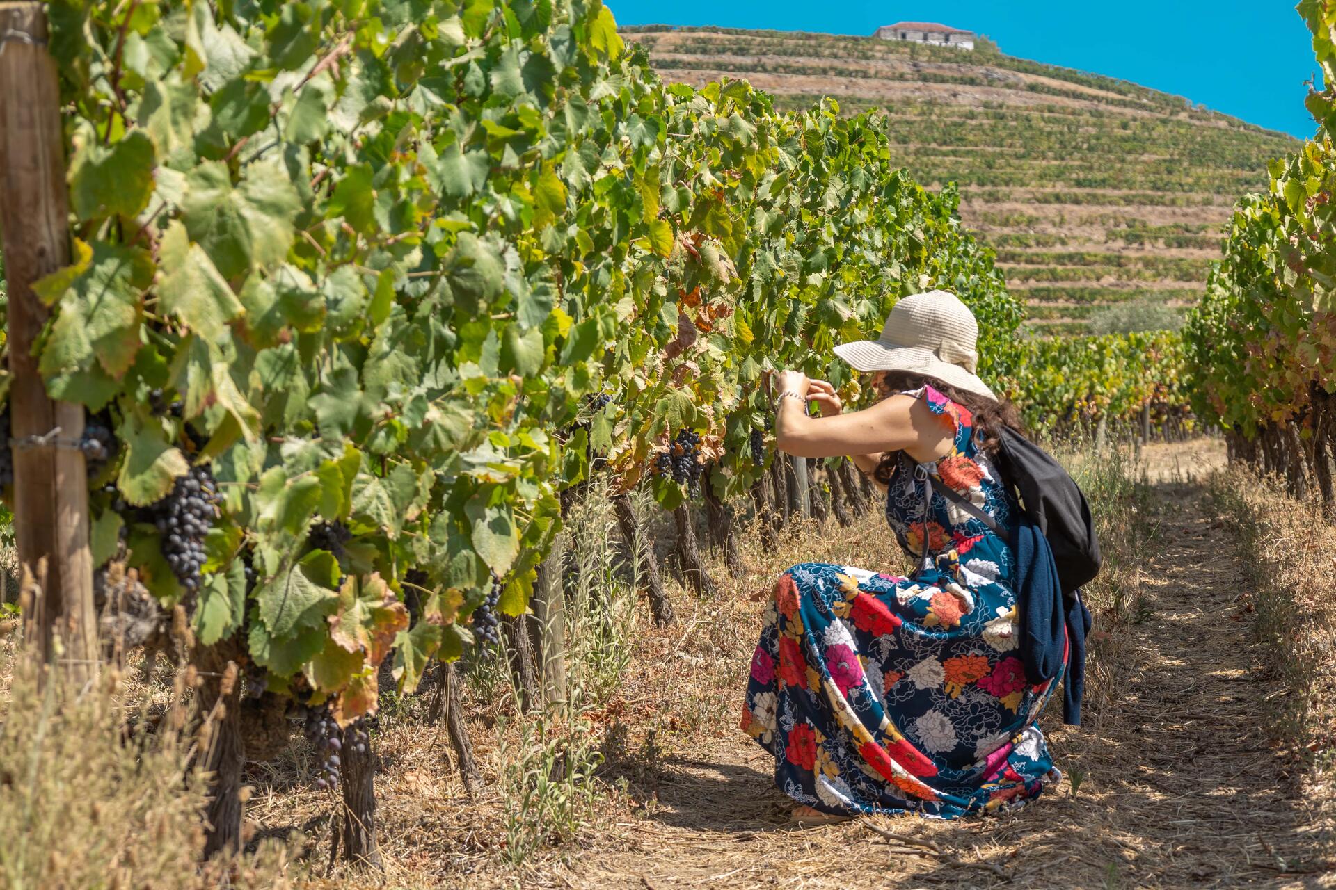 Wine Tour – Douro Valley