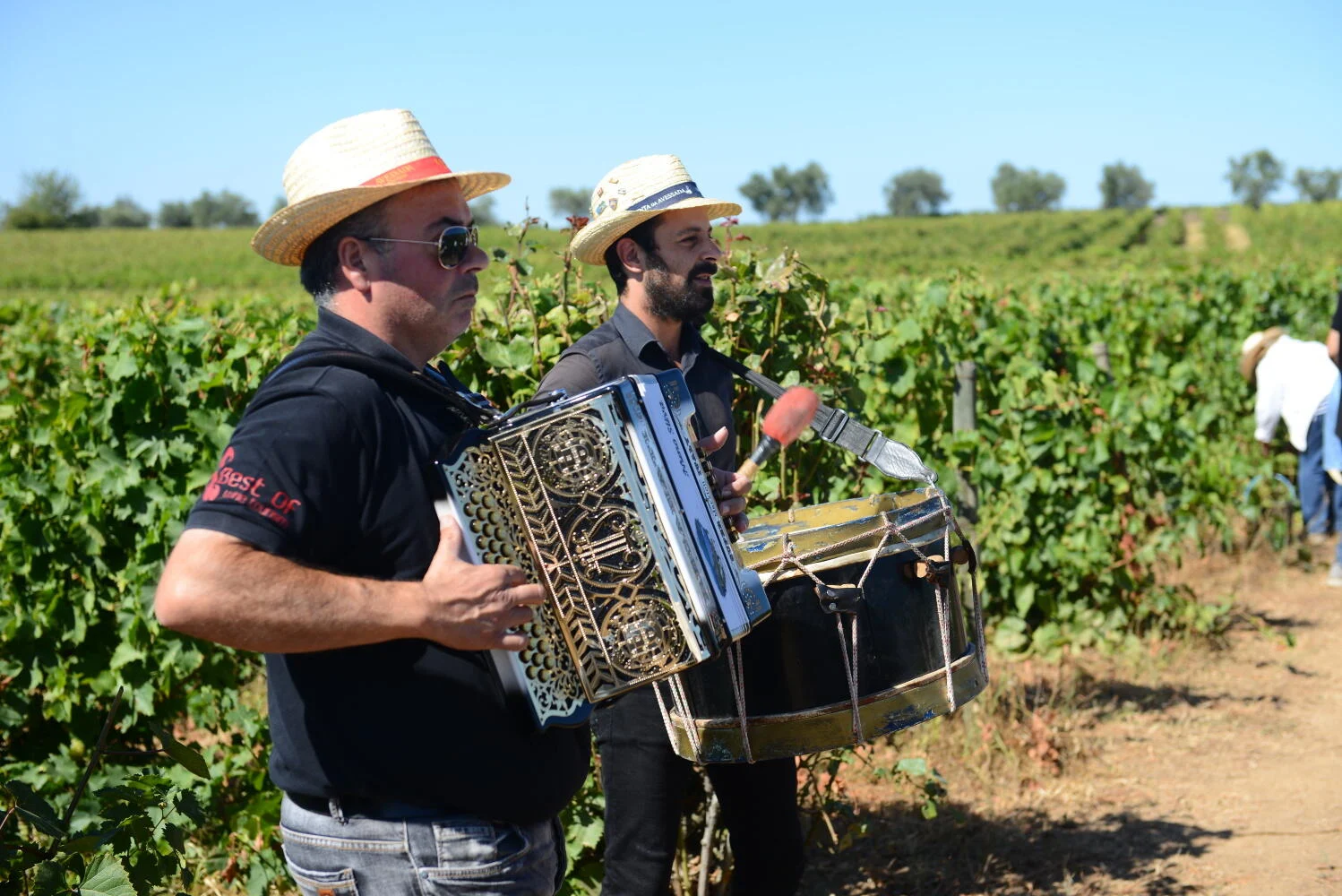 Quinta da Avessada – Vindimas na Enoteca