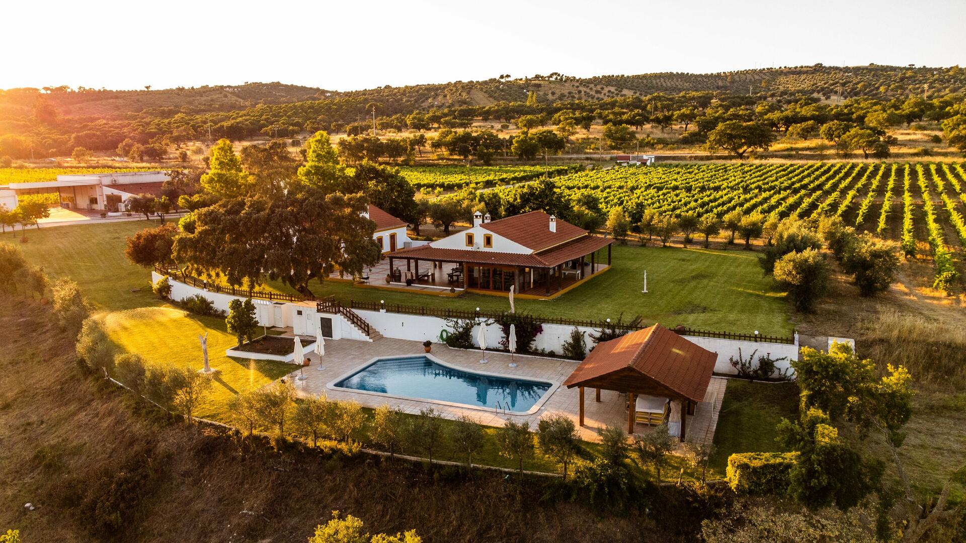 Monte da Raposinha – Visita & Prova de Vinhos