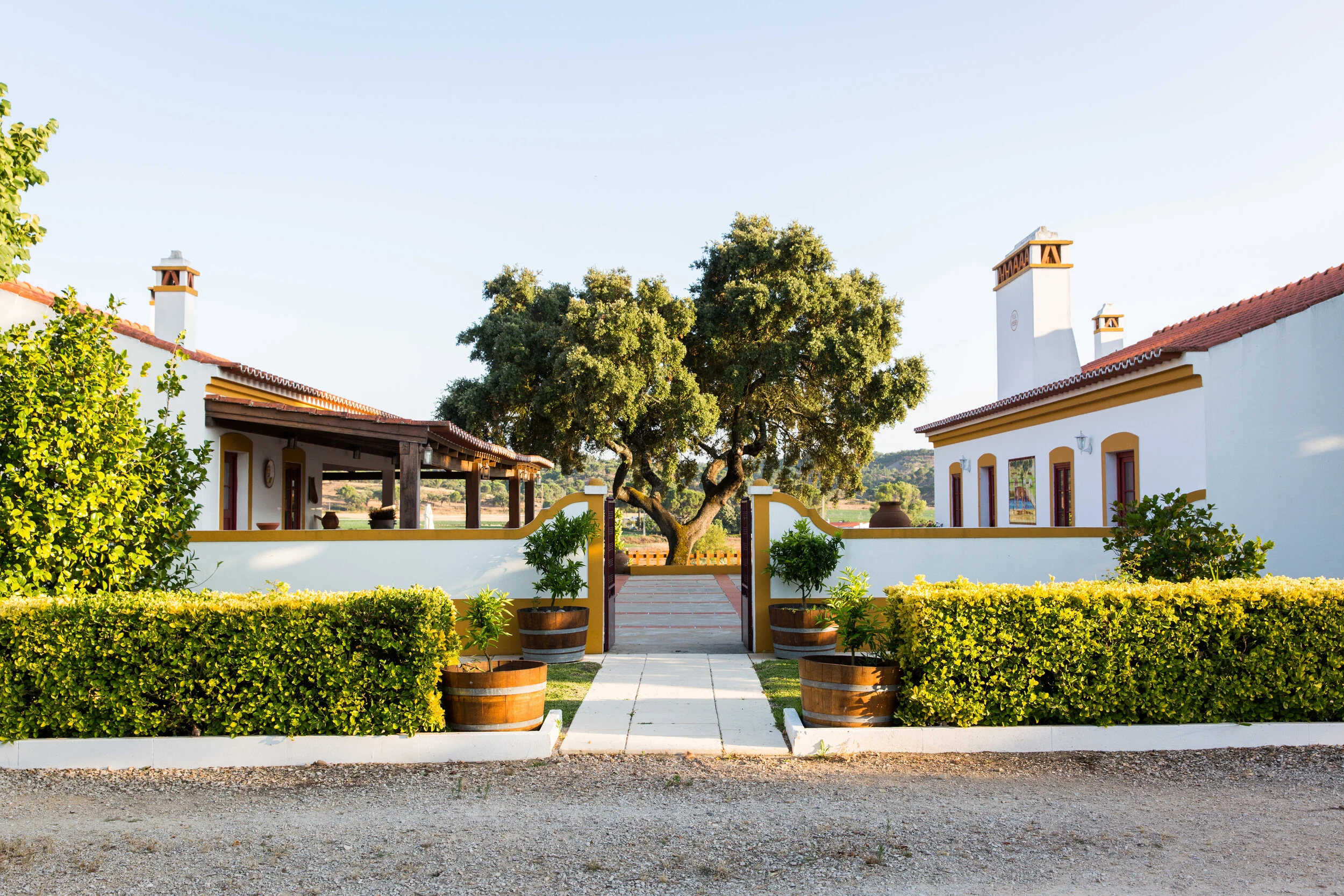 Monte da Raposinha – Visita & Prova de Vinhos