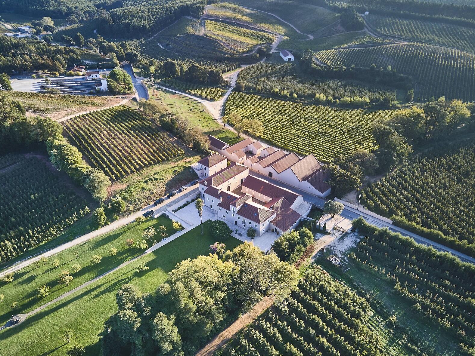 Quinta do Porto Nogueira – Visita & Prova 3 Vinhos