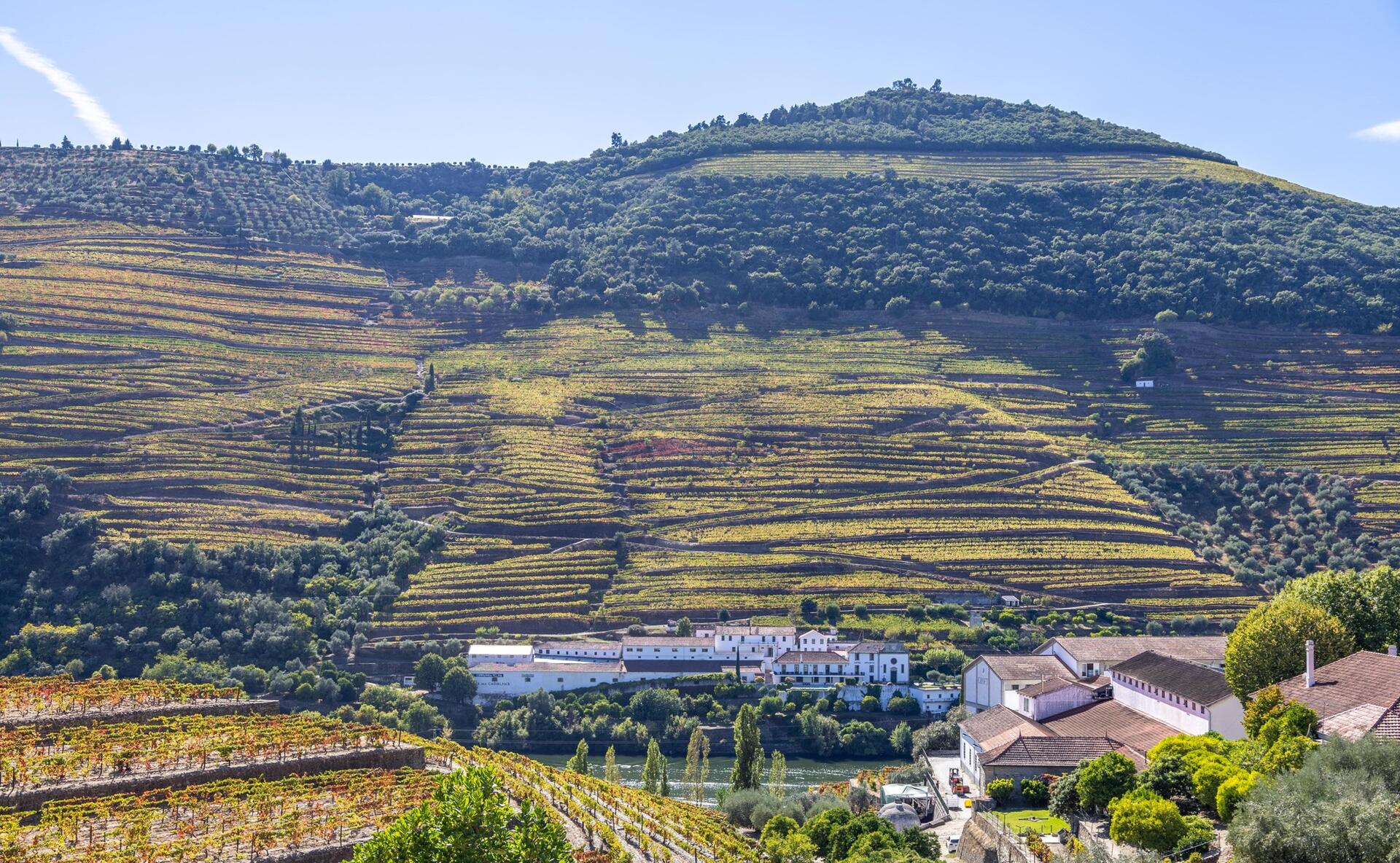 Douro Valley Wine Tour – Privado
