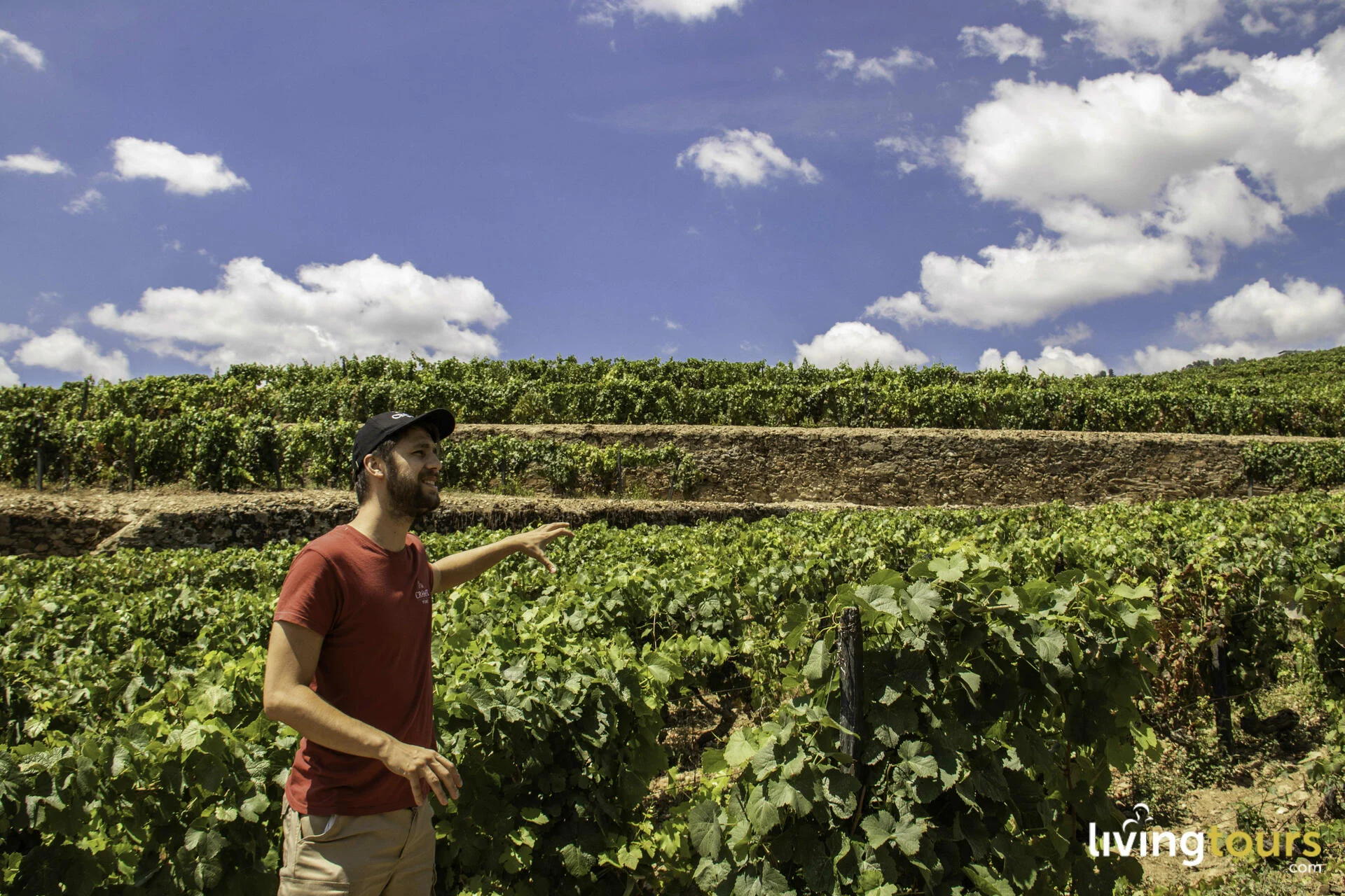 Douro Valley Wine Tour – Privado