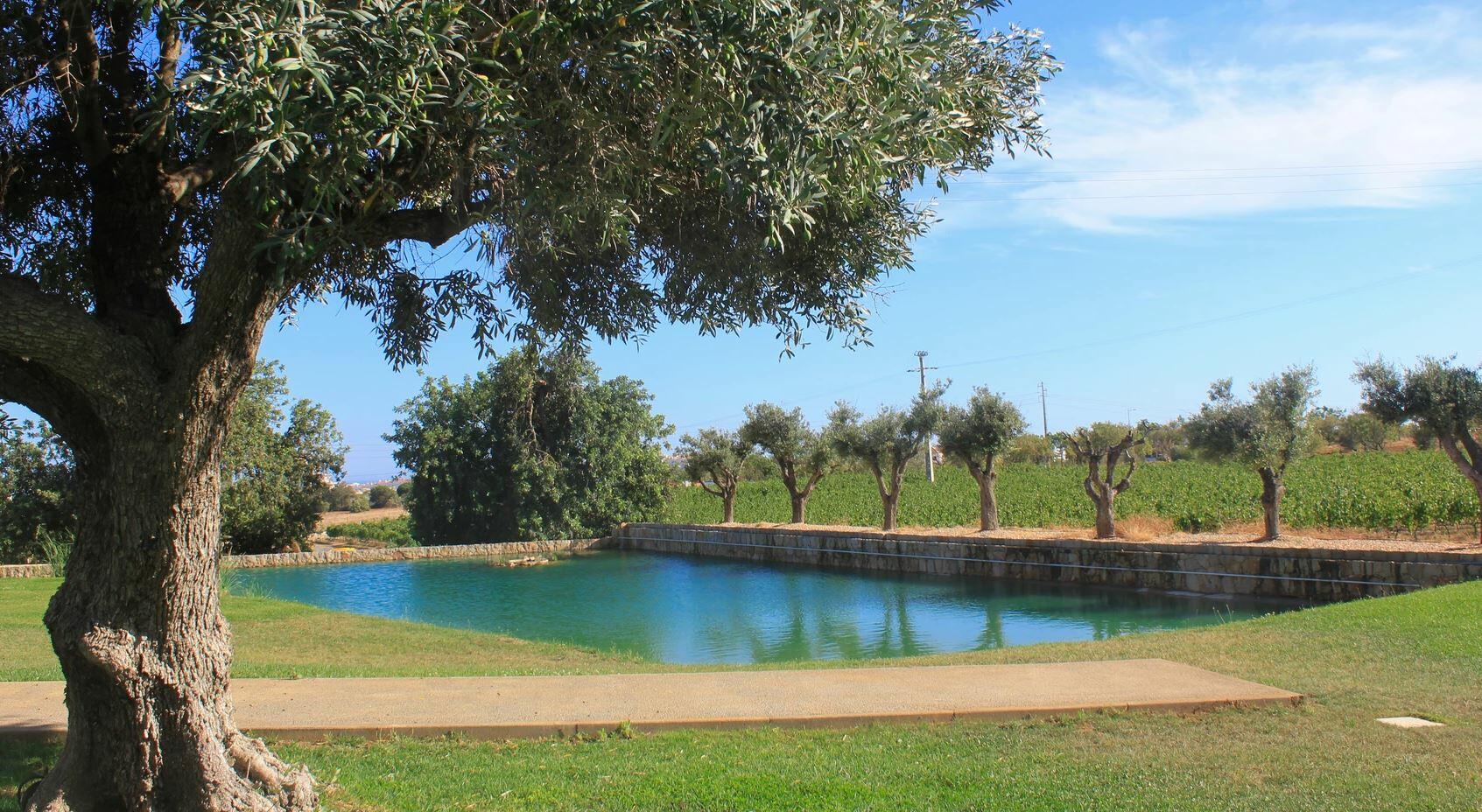 Quinta do Canhoto – Visita & Prova de Vinhos