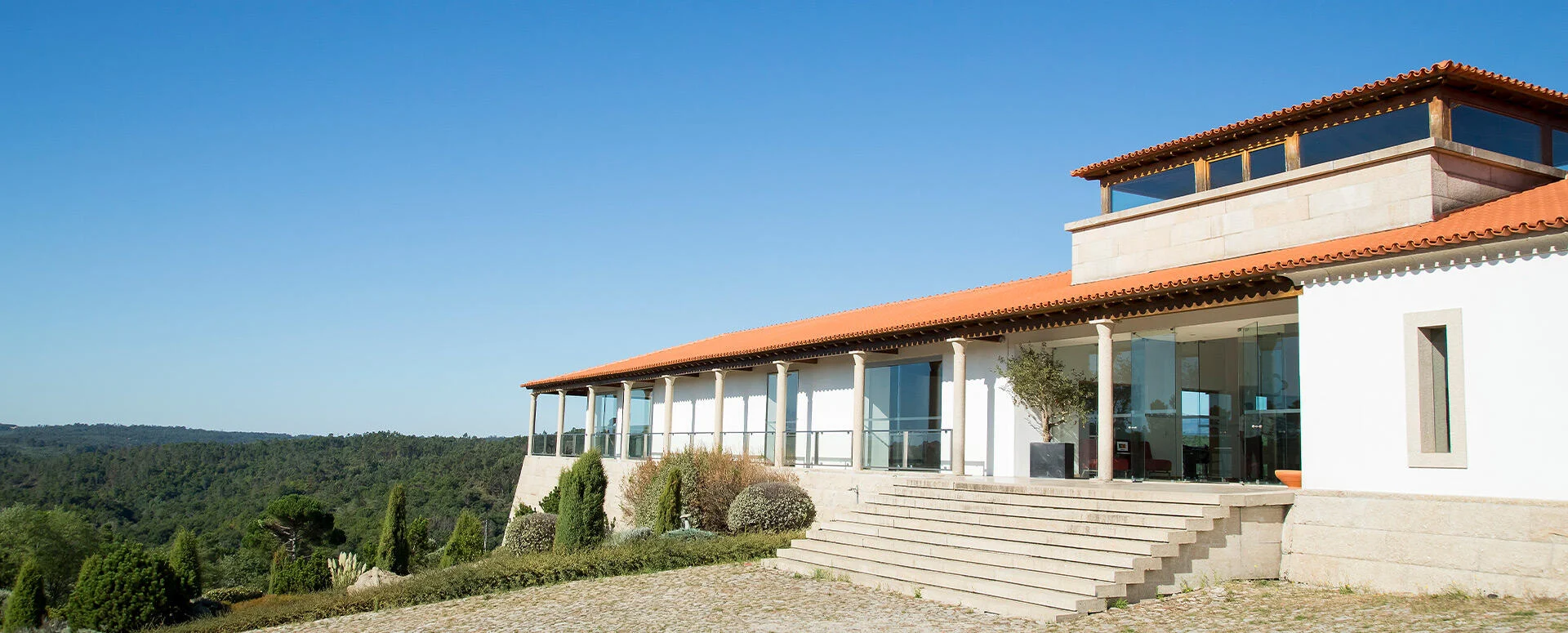 Quinta de Lemos – Visita & Prova de Vinhos