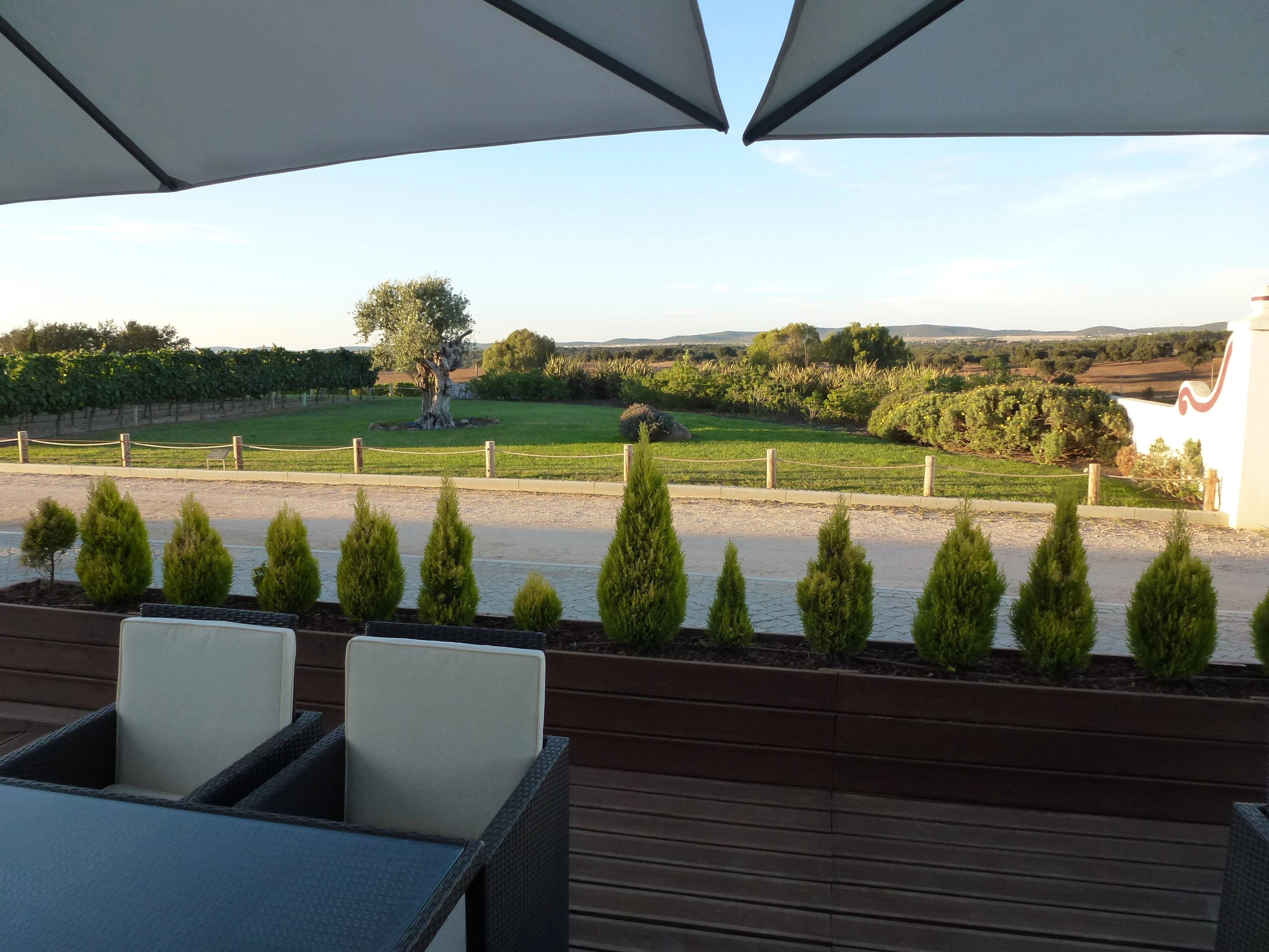 Vinhos das Terras Altas Alentejanas