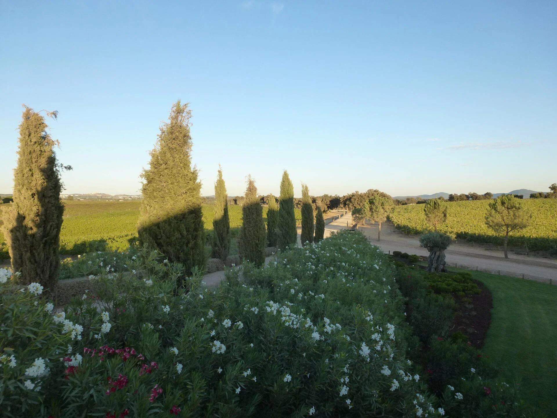 Vinhos das Terras Altas Alentejanas