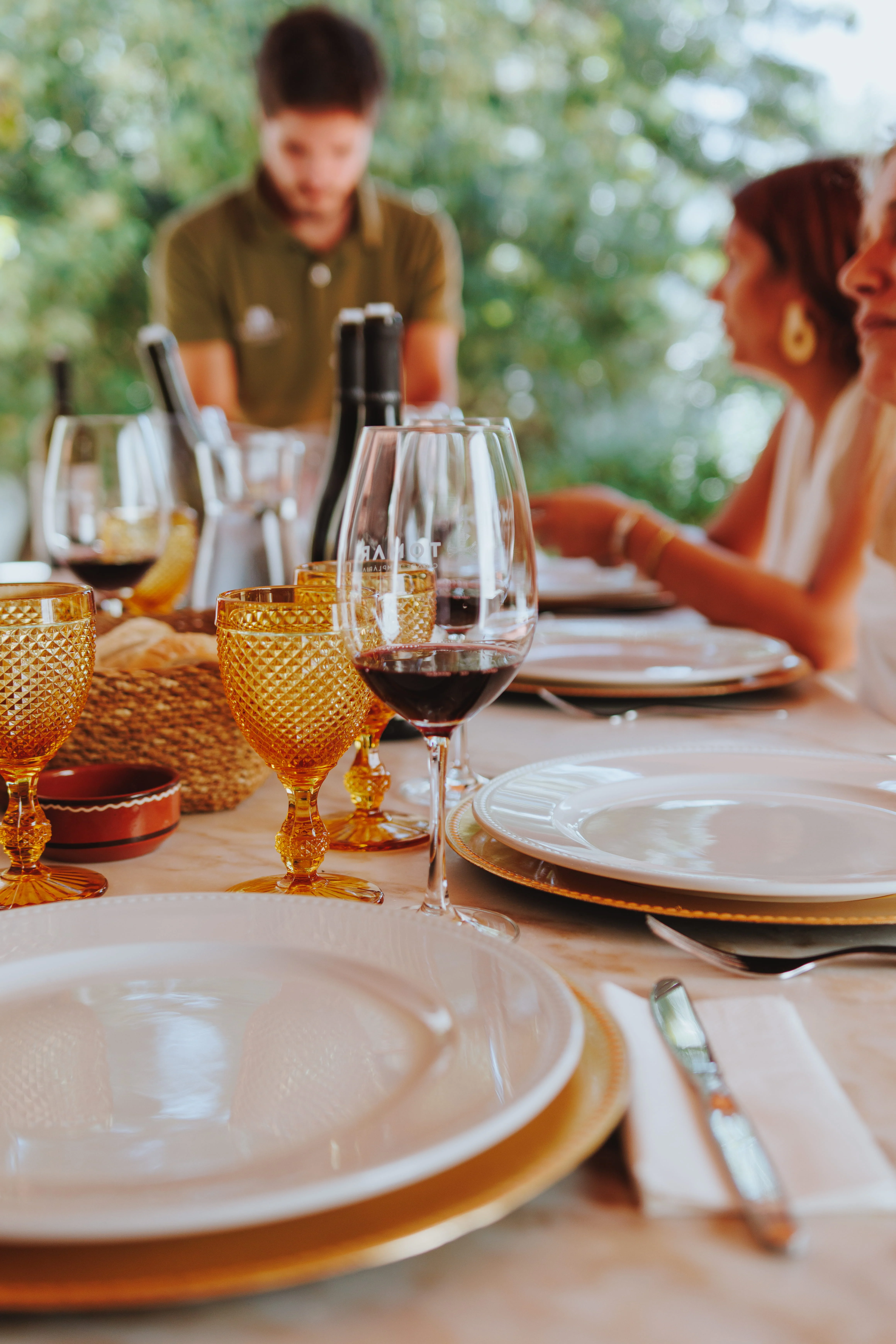 Adega da Gaveta – Da Vinha à Mesa