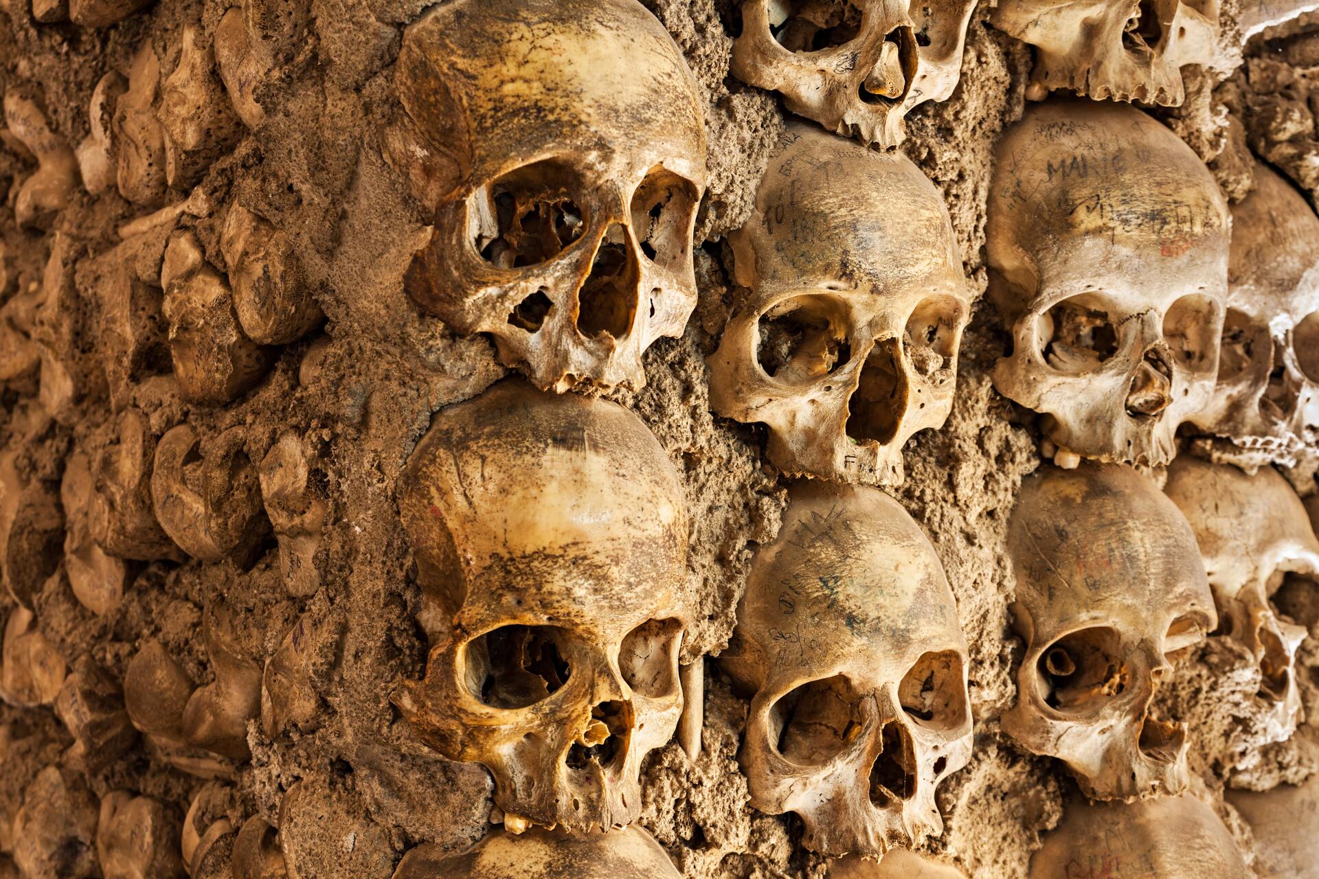 Évora Histórica & Vinho Alentejano