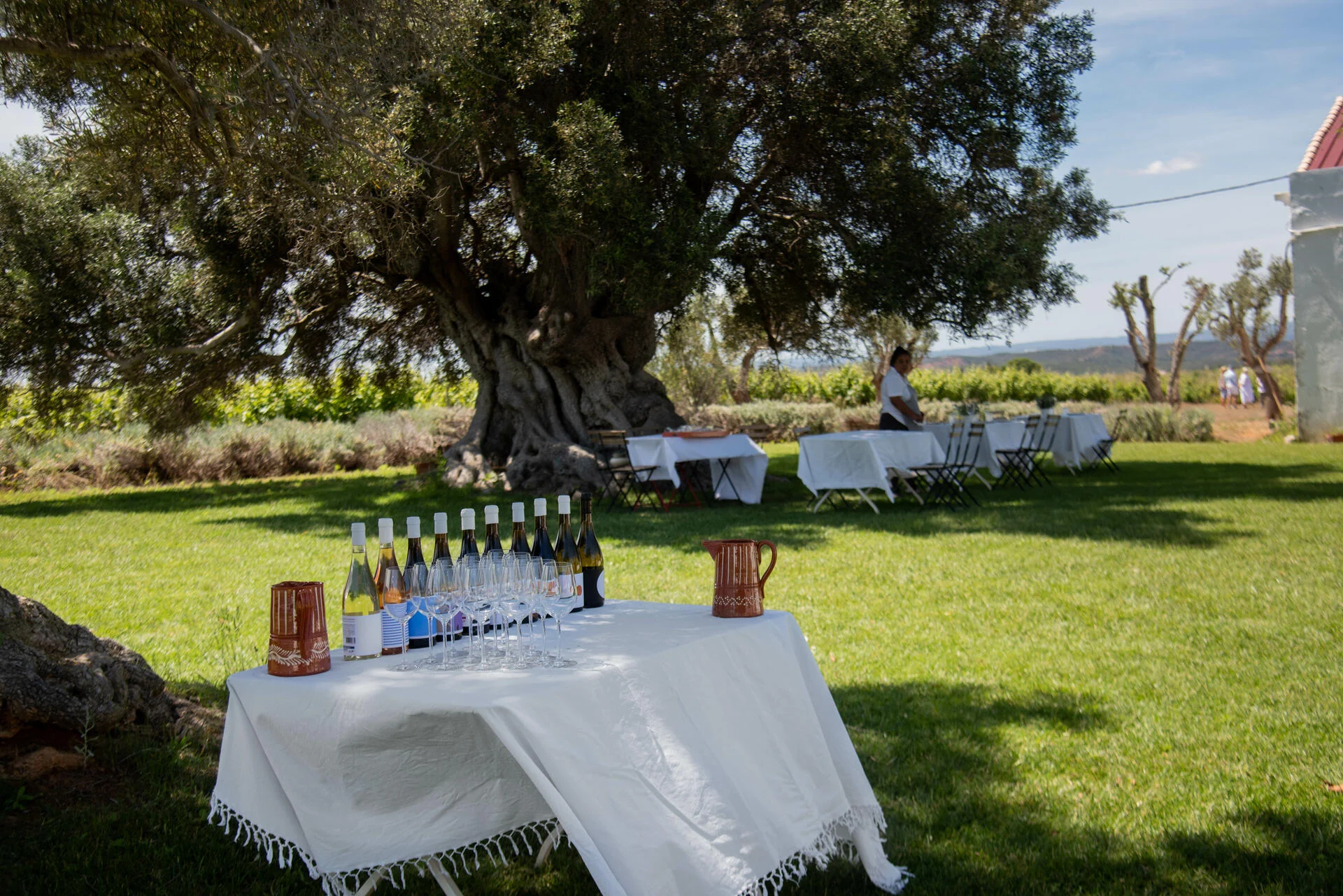 Morgado do Quintão – Tour & Prova Premium