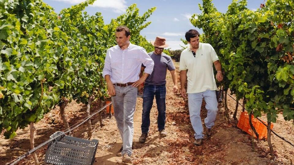 Villa Alvor – Prova “Alvor Singular”