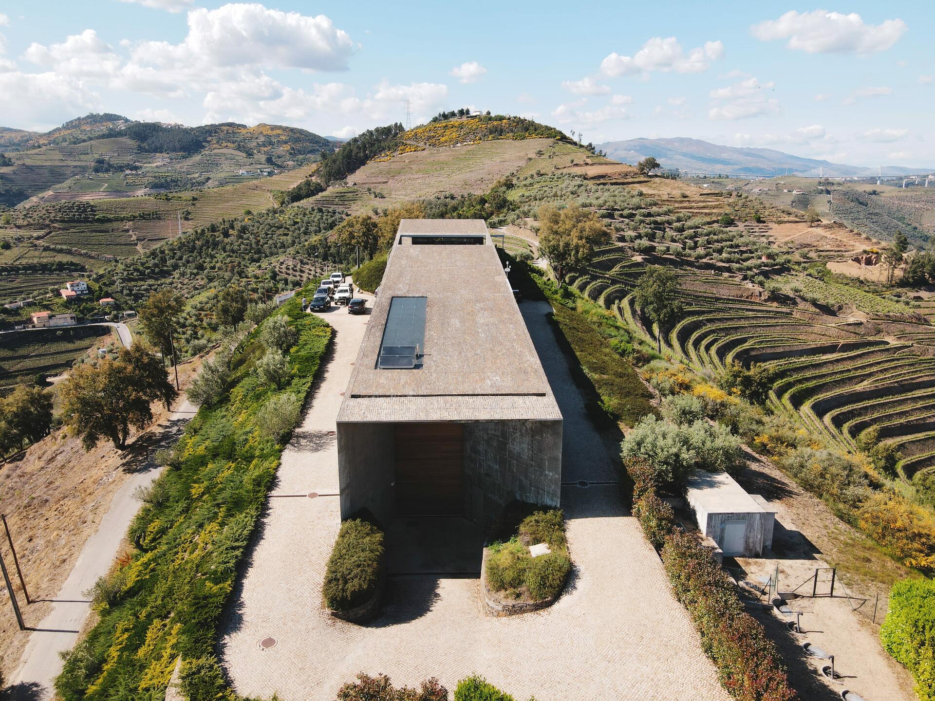 Adega H.O – Visita & Prova Tesouros do Douro