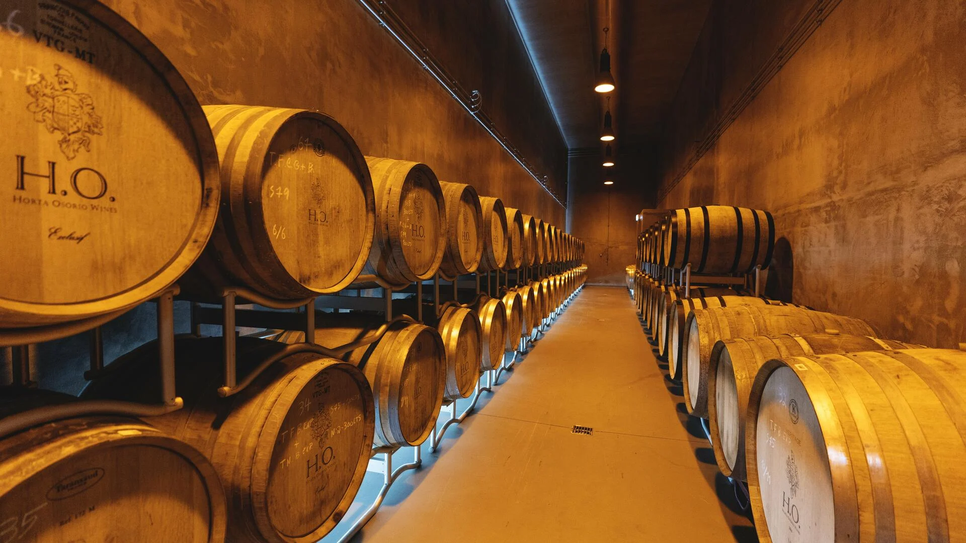 Adega H.O – Visita & Prova Tesouros do Douro