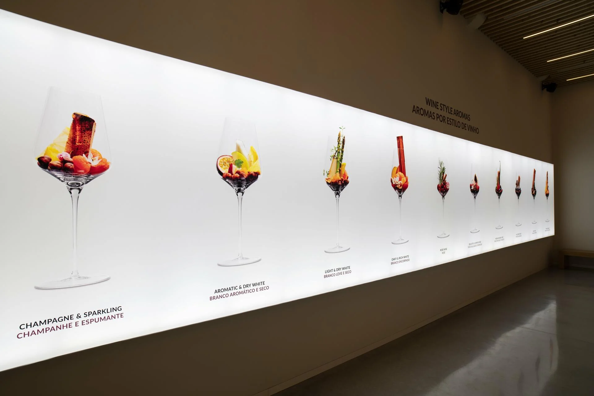 WOW – Visita ao Museu “The Wine Experience”