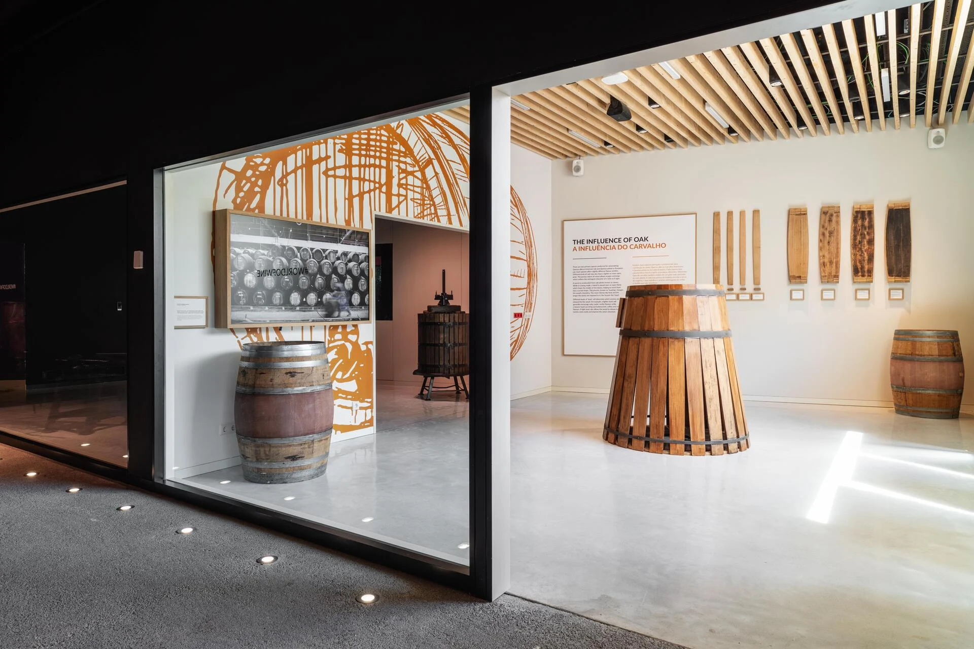 WOW – Visita ao Museu “The Wine Experience”
