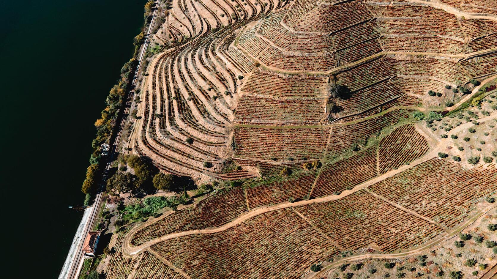 Menin Douro Estates – Prova Exclusive