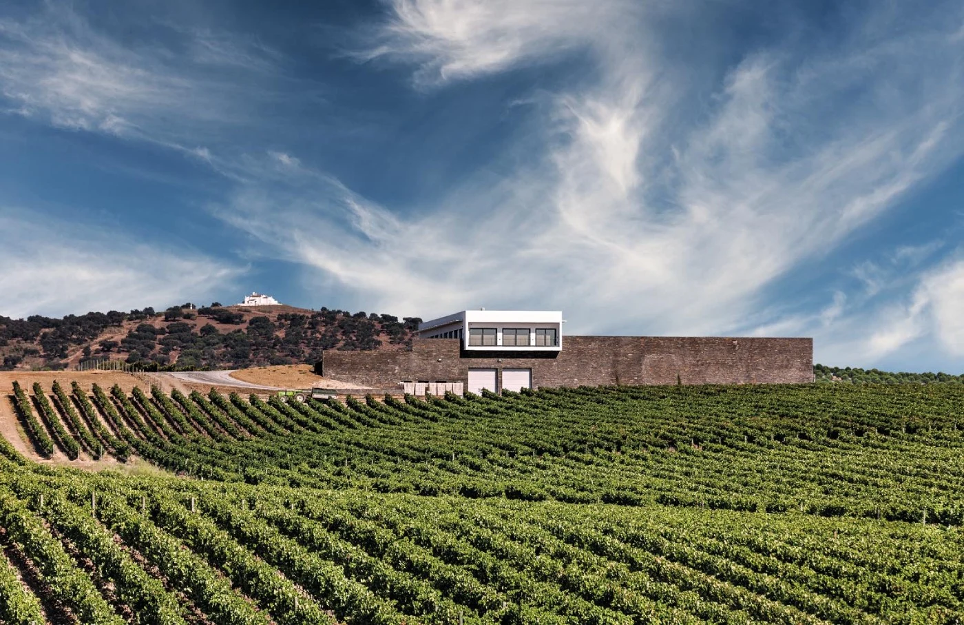 Ribafreixo Wines – Visita & Prova “Terroir”