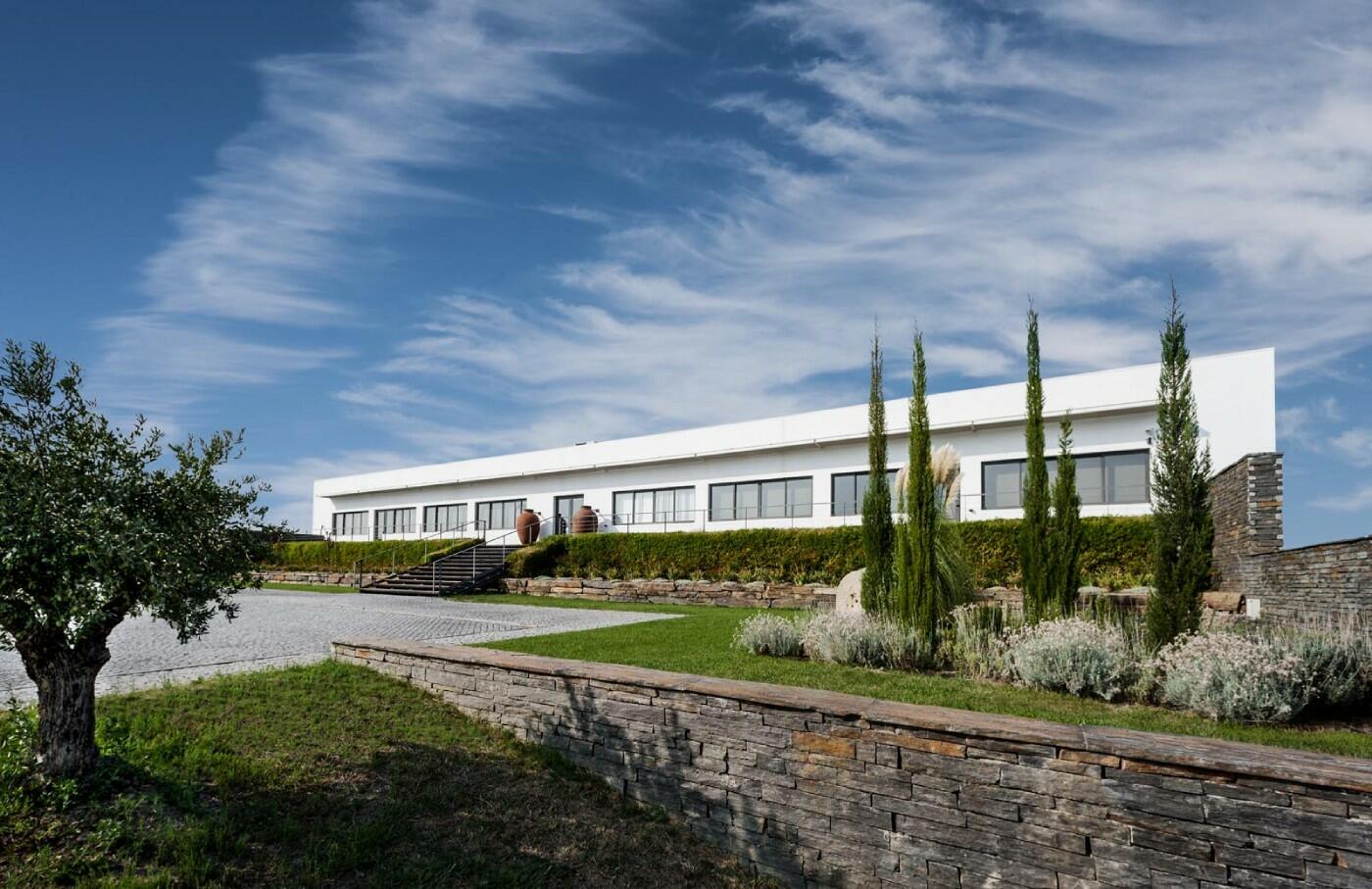 Ribafreixo Wines – Visita & Prova “Terroir”