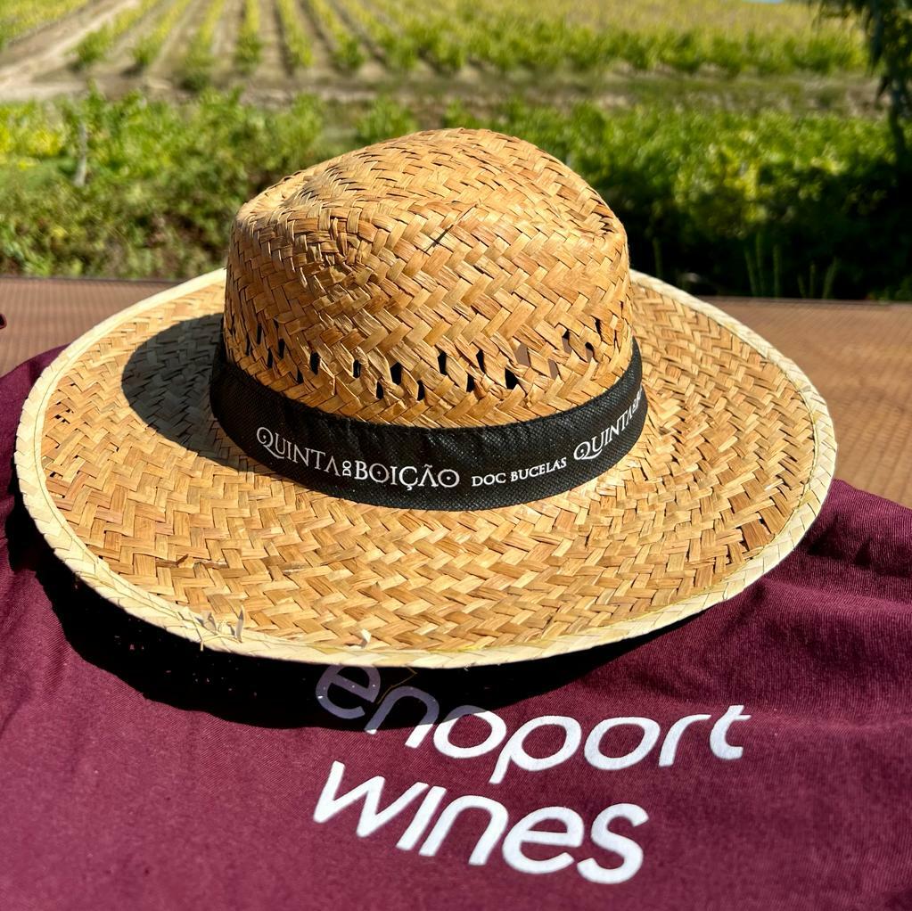 Quinta do Boição – Visita & Almoço