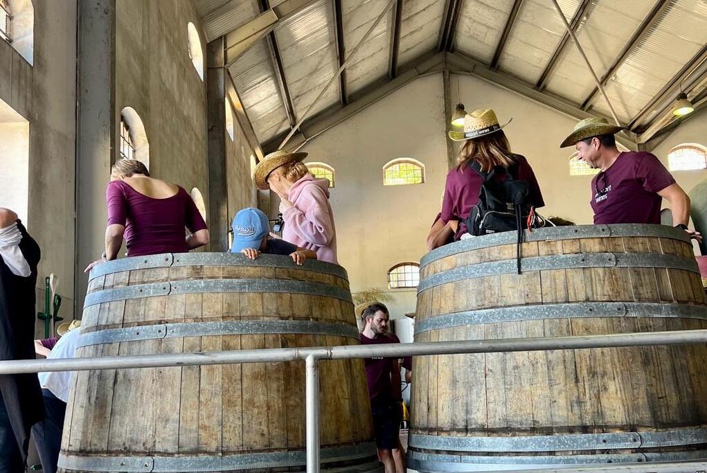 Quinta do Boição – Visita & Almoço