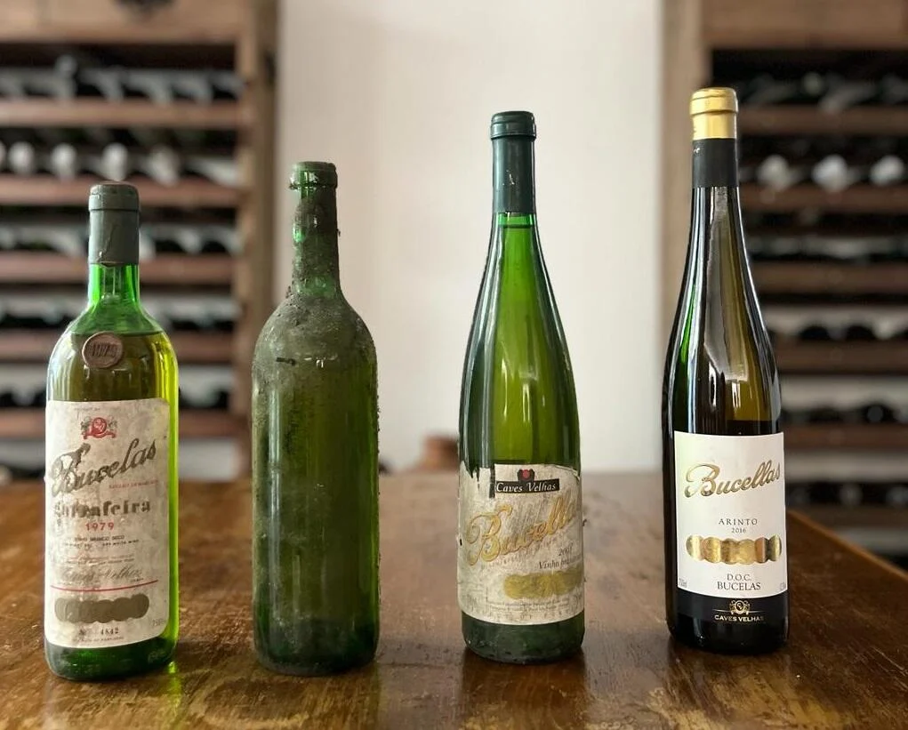 Quinta do Boição – Visita & Prova Harmonizada