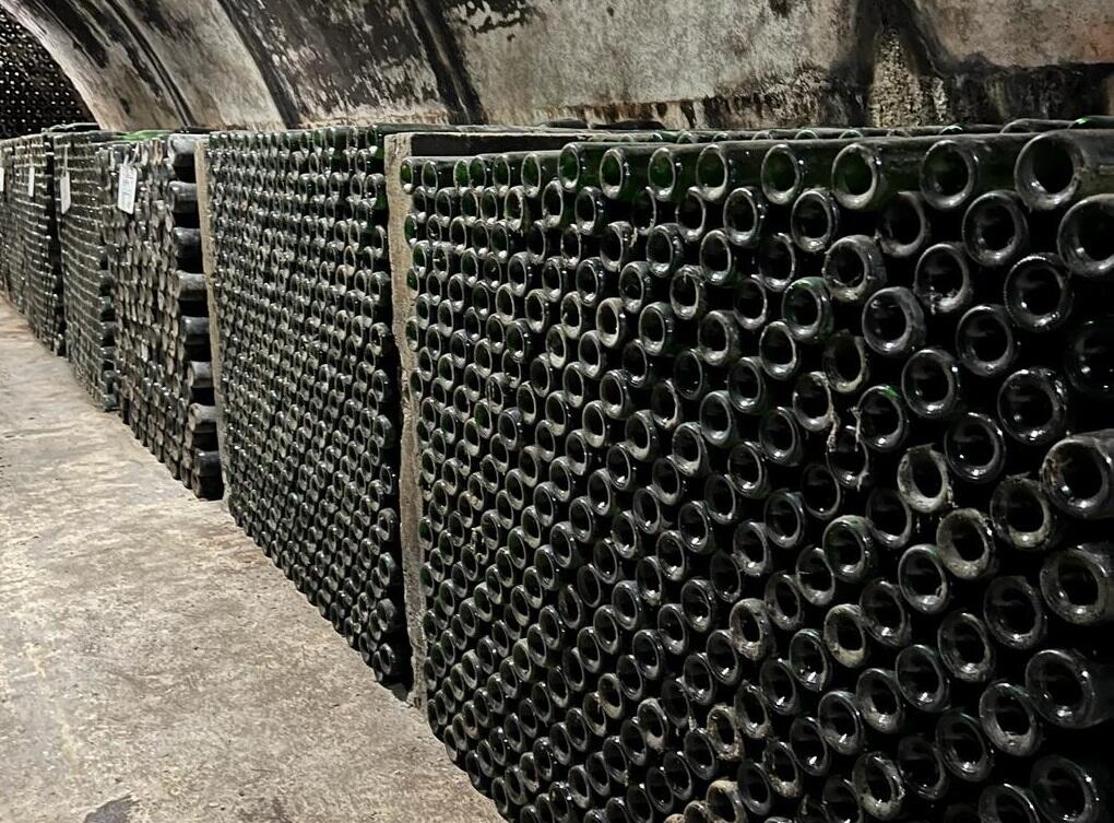 Quinta do Boição – Visita & Prova Harmonizada