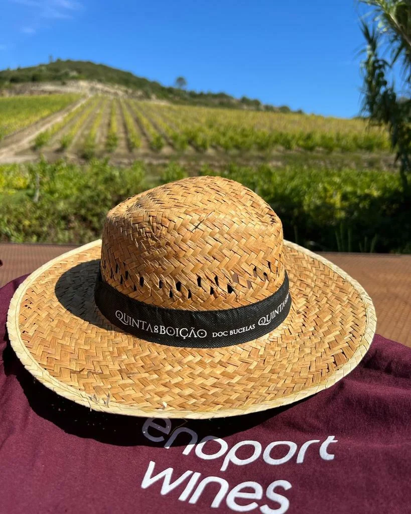 Quinta do Boição – Experiência de Poda