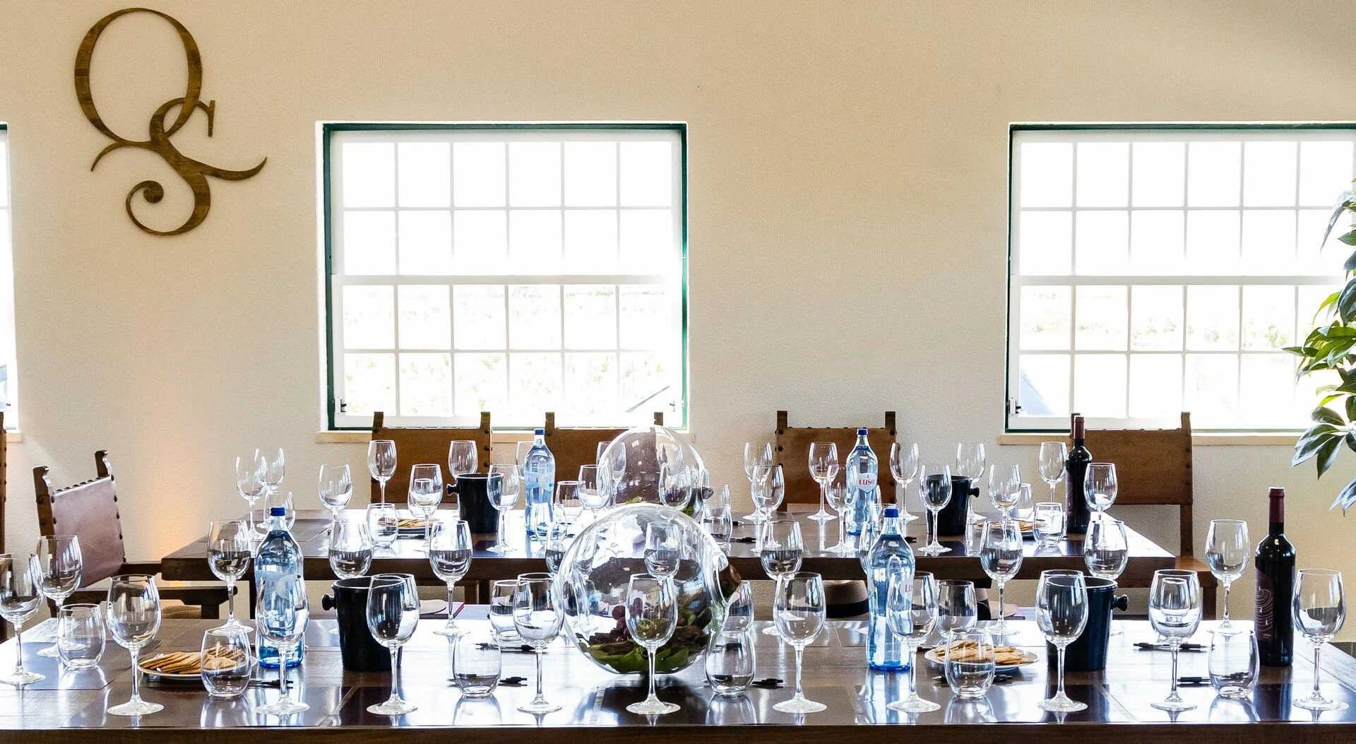 Quinta do Sampayo – Piquenique na Vinha