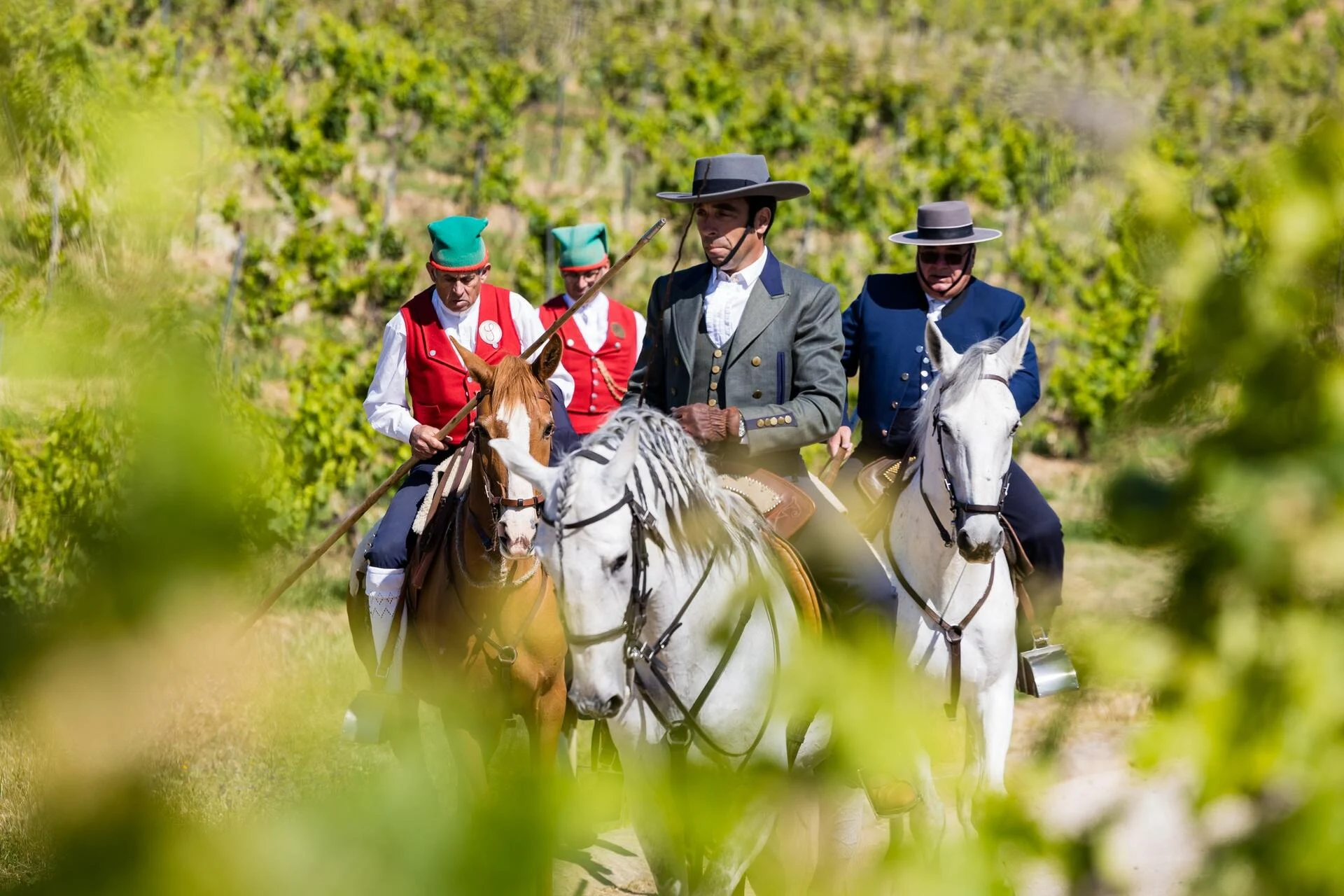 Quinta do Sampayo – Passeio a Cavalo