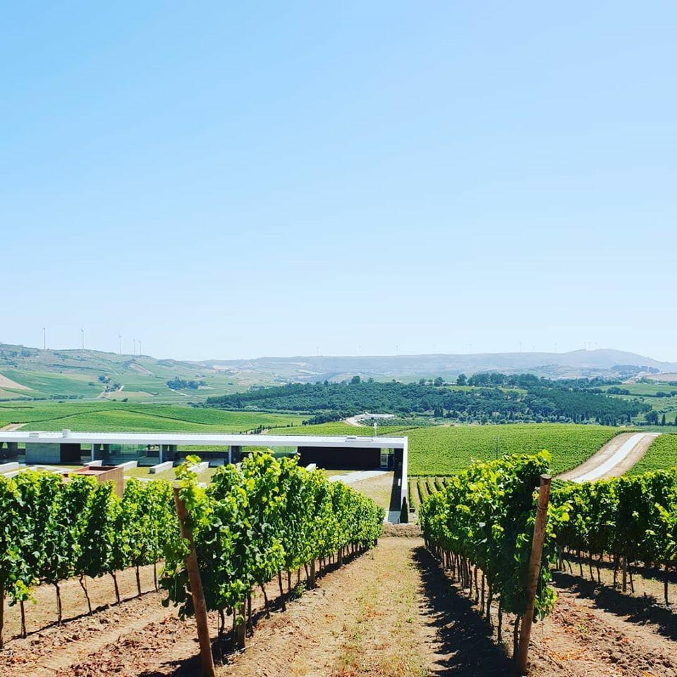 Adegamãe – Visita & Prova Gold