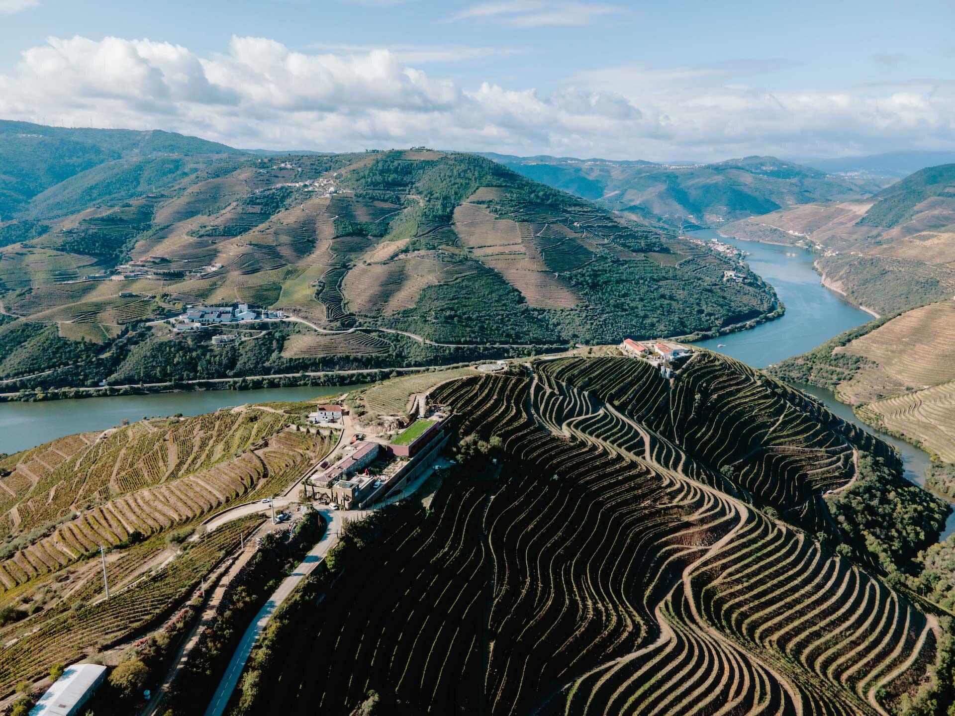 Menin Douro Estates – Prova Tesouros do Douro