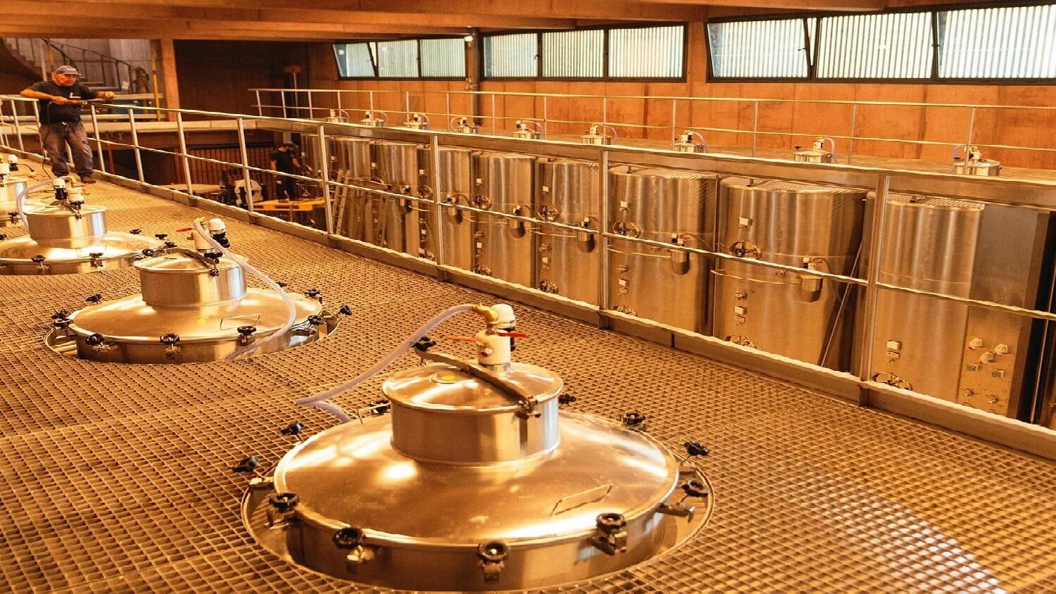 Menin Douro Estates – Prova Tesouros do Douro