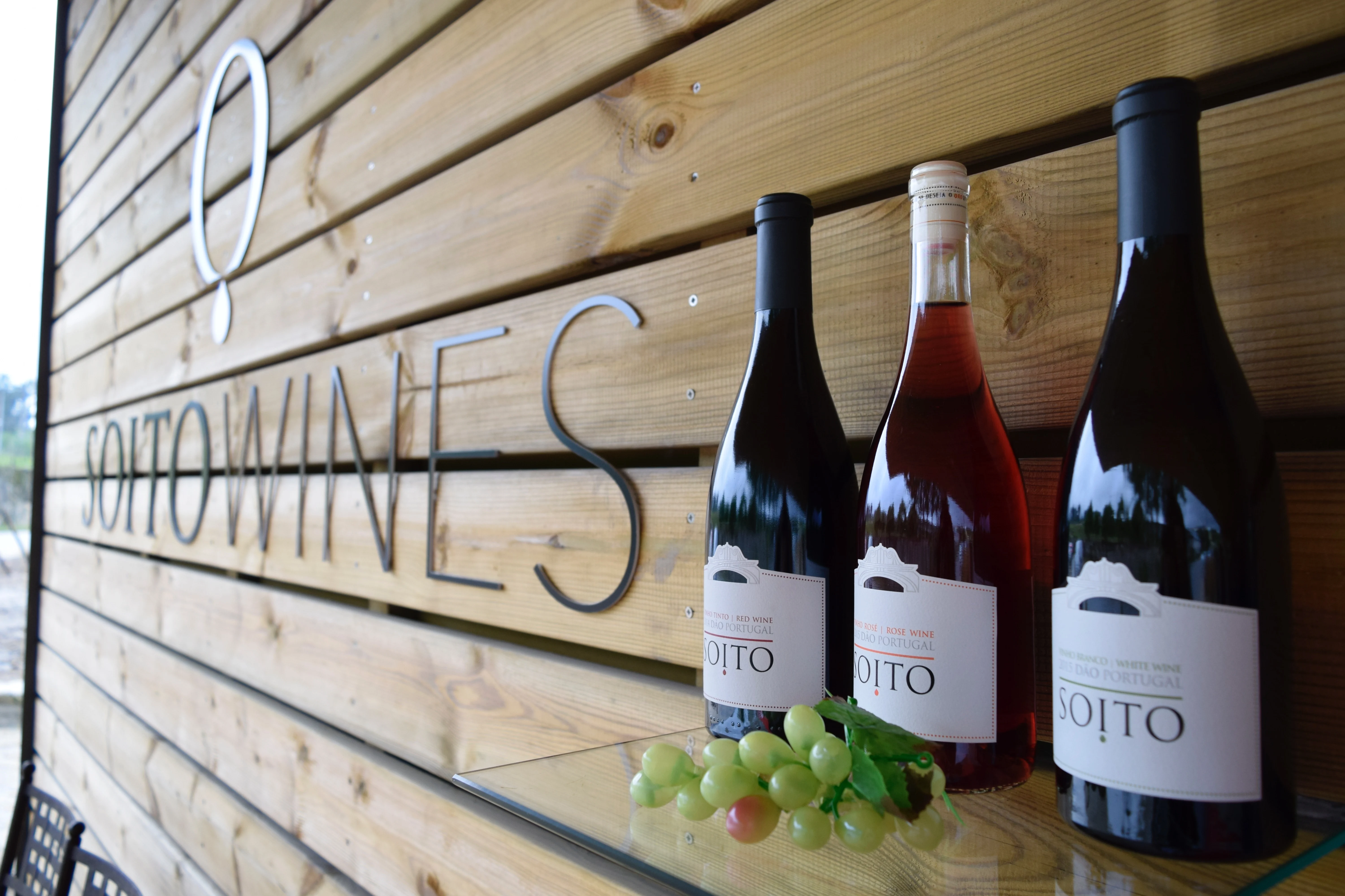 Soito Wines – Visita & Prova Clássica