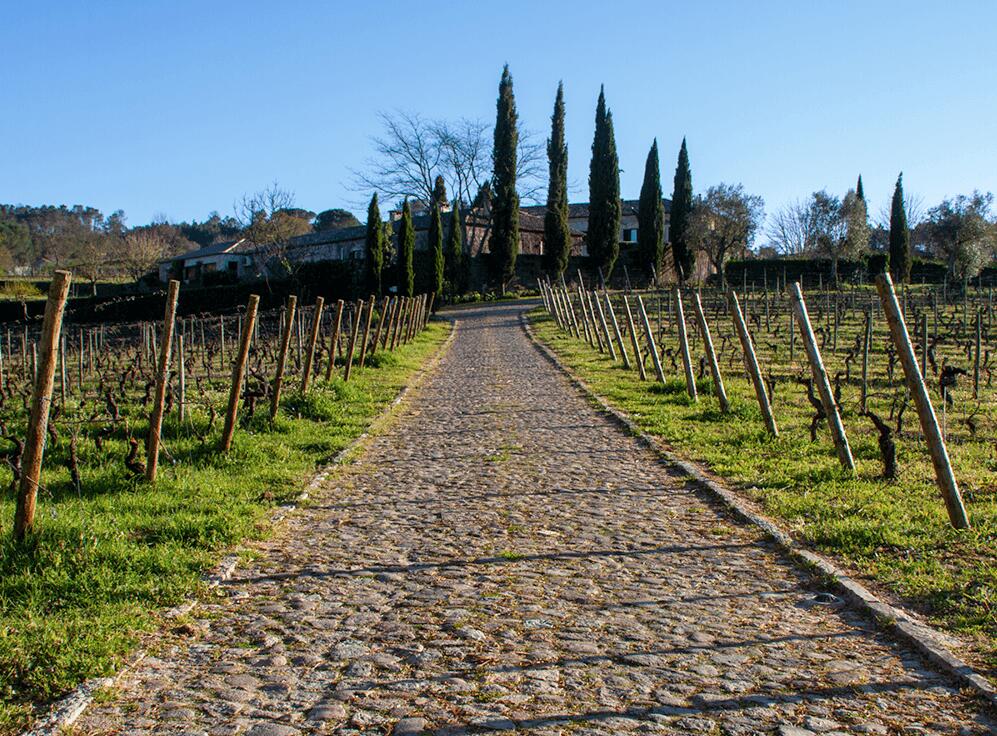 Soito Wines – Visita & Prova Clássica