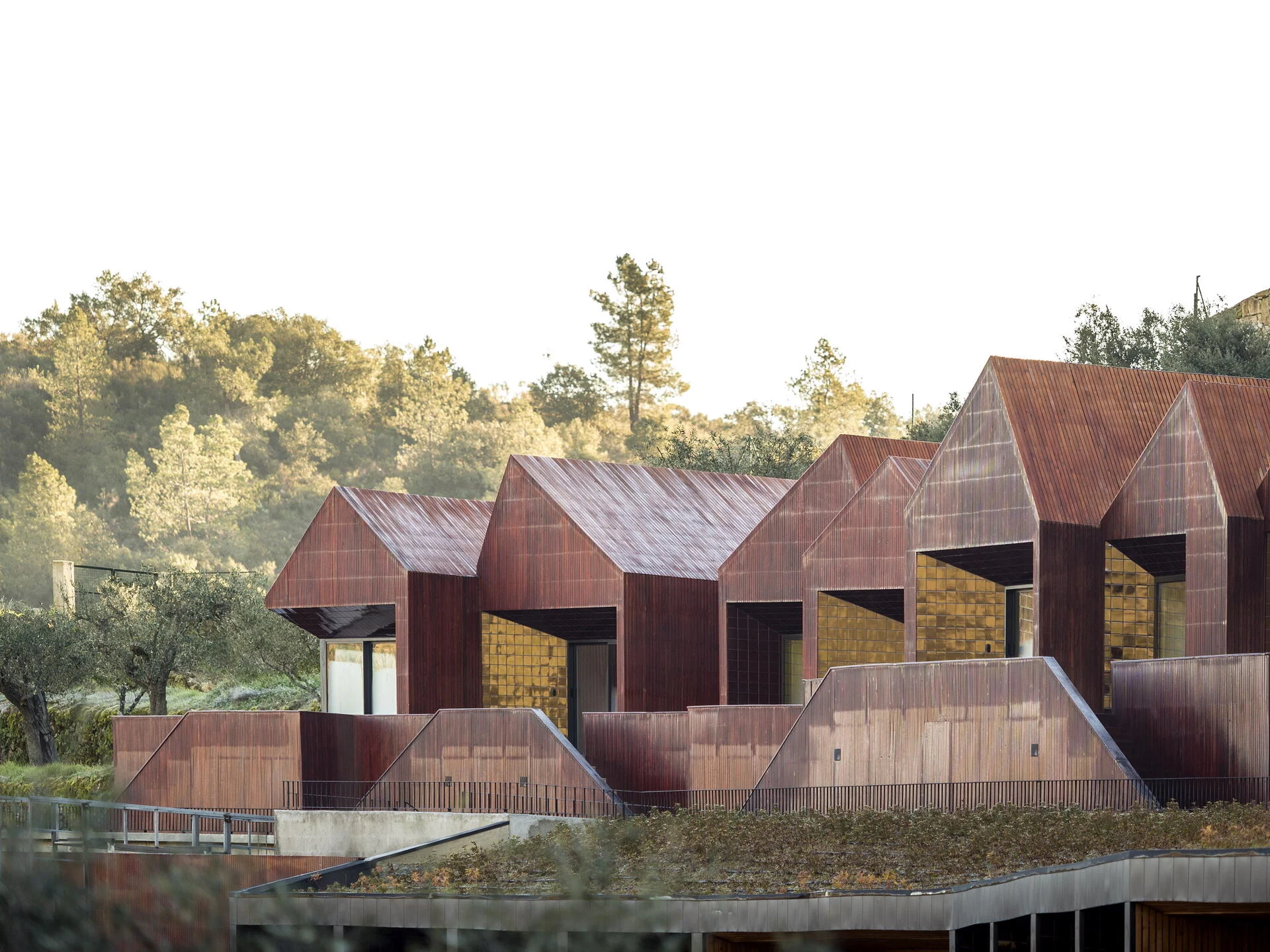 Longroiva Hotel Rural – Refeição Vínica