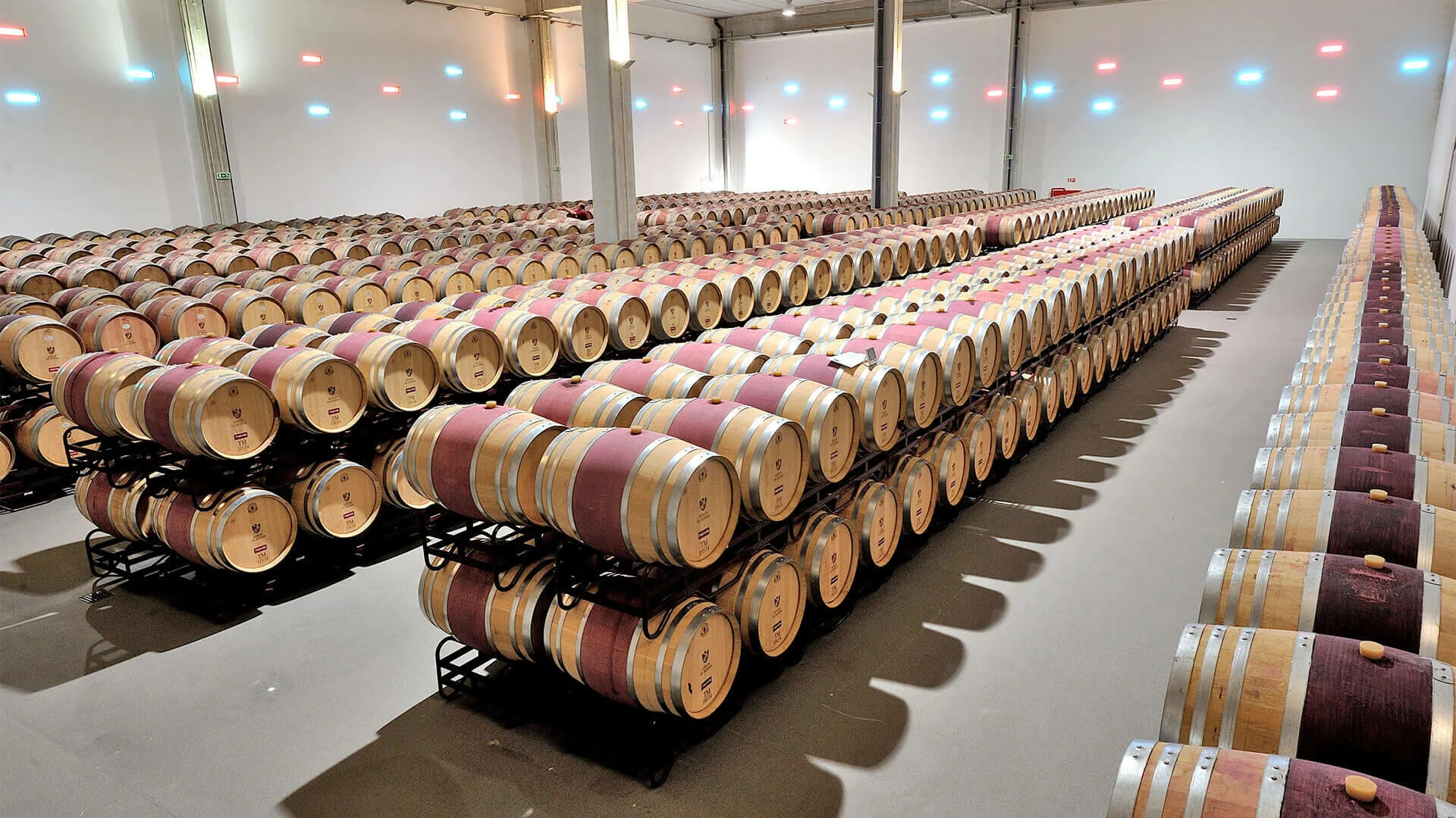 Adega de Borba – Visita & Prova Premium