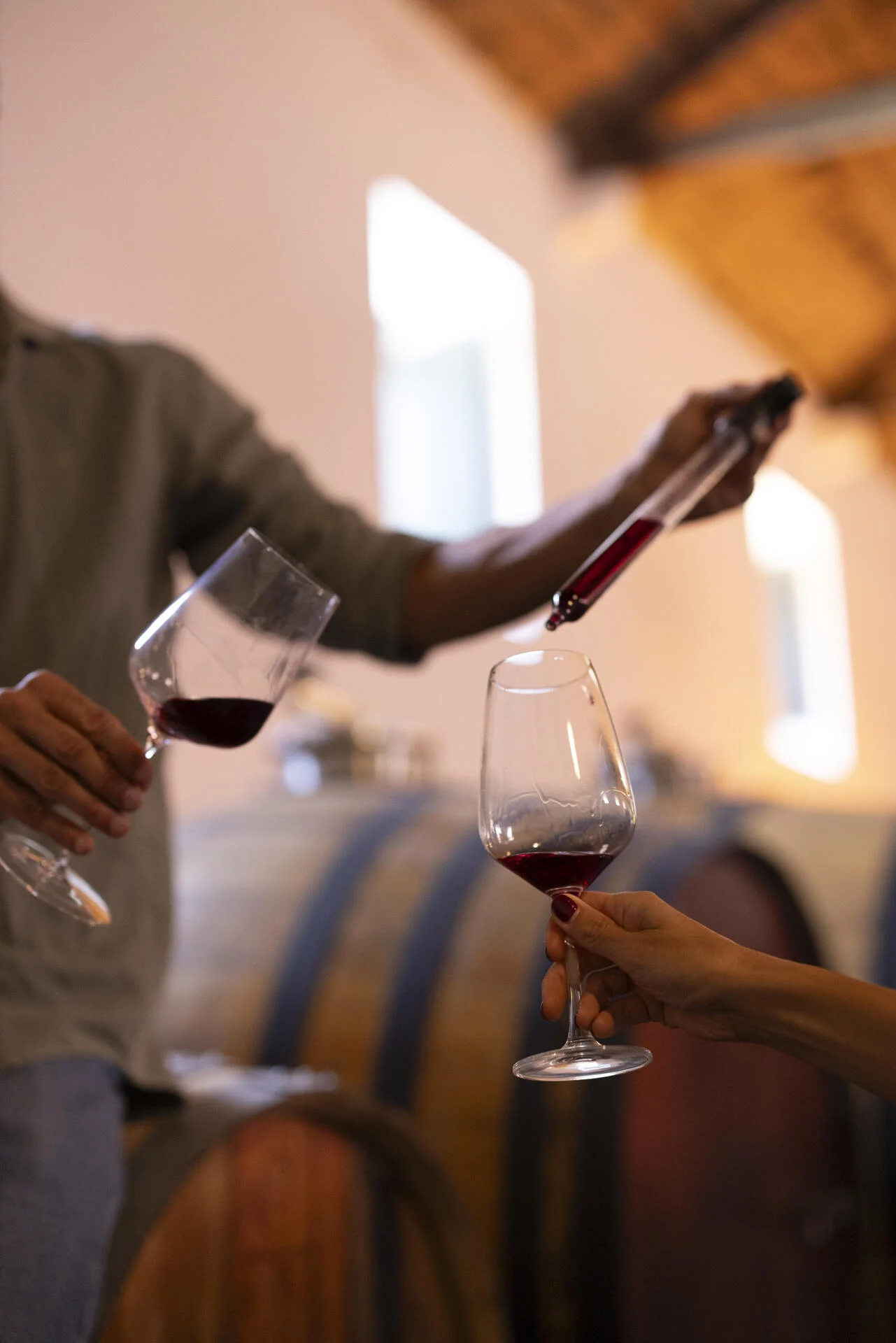 Adega Viúva Gomes – Prova Lisboa & Colares